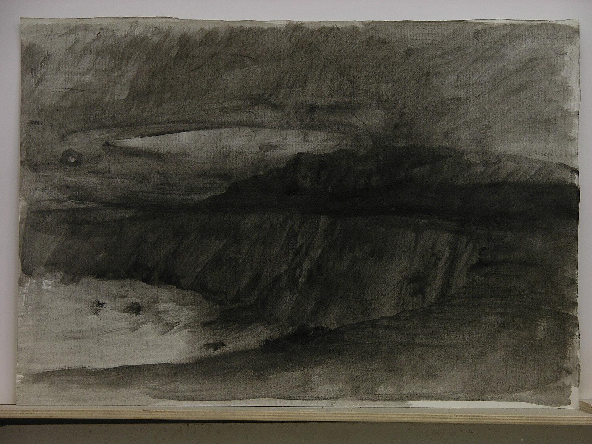 aguada acrílca/papel._35x50,5cm