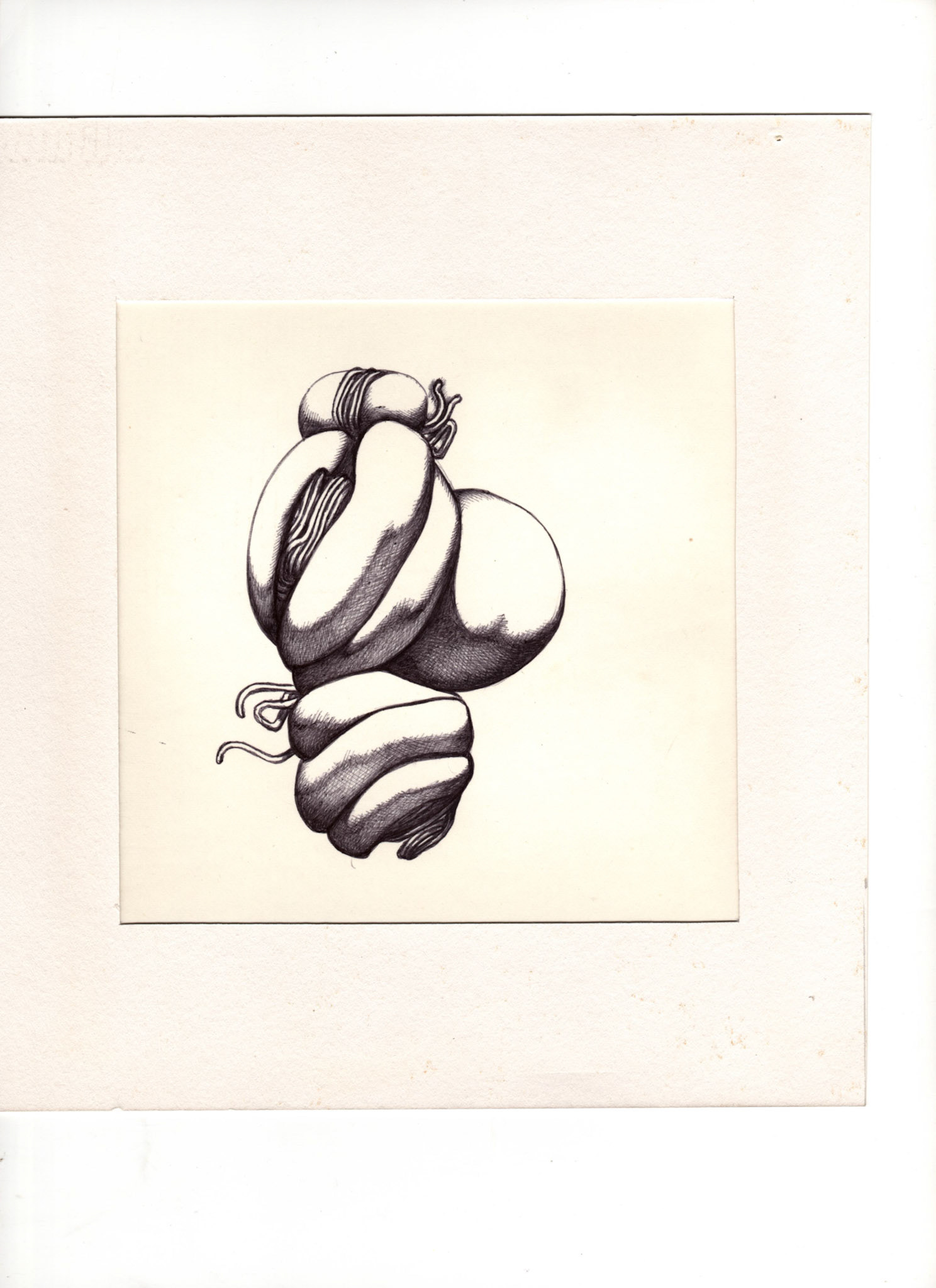 boligrafo/papel._ 14,3 x 14,3 cm