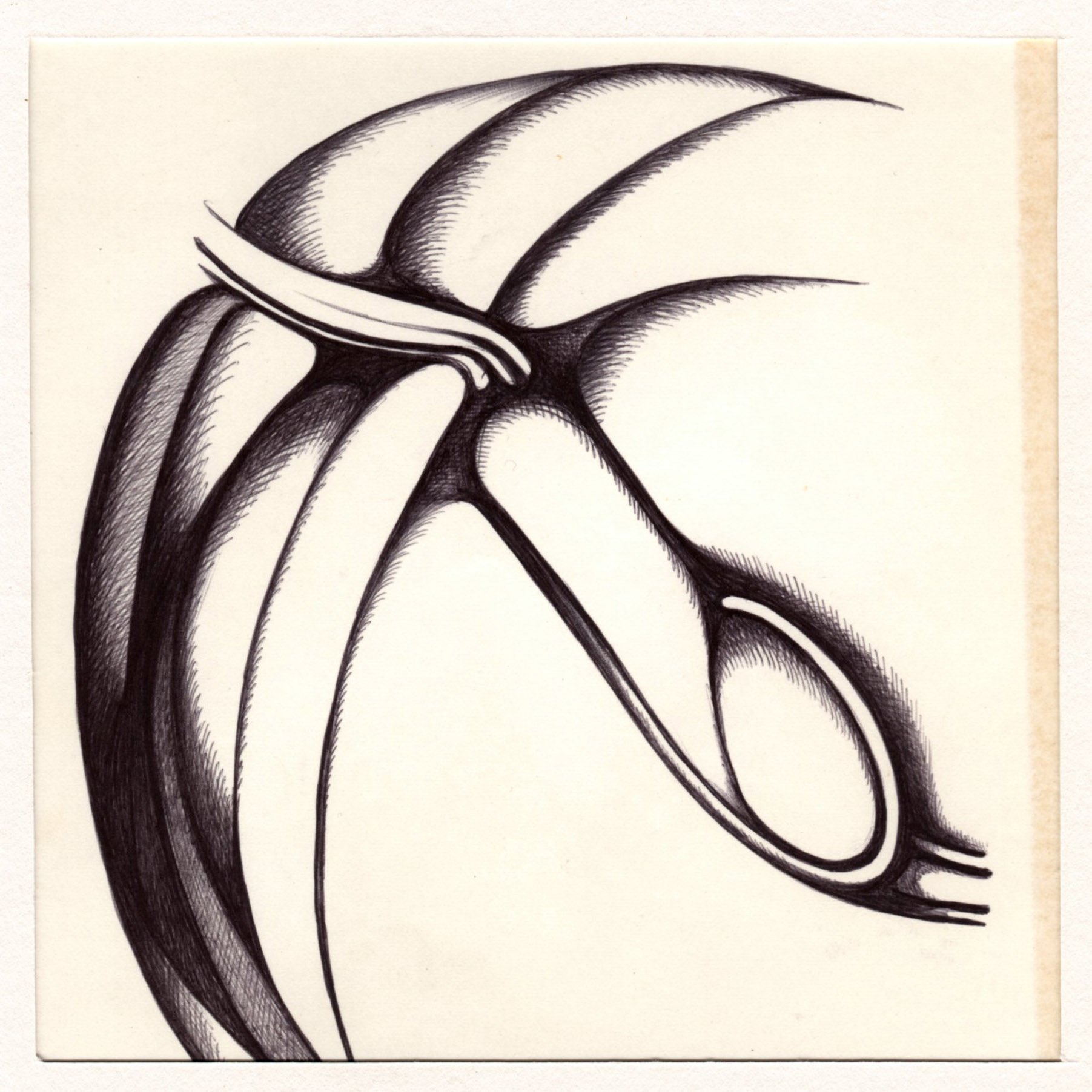 boligrafo/papel._ 14,3 x 14,3 cm