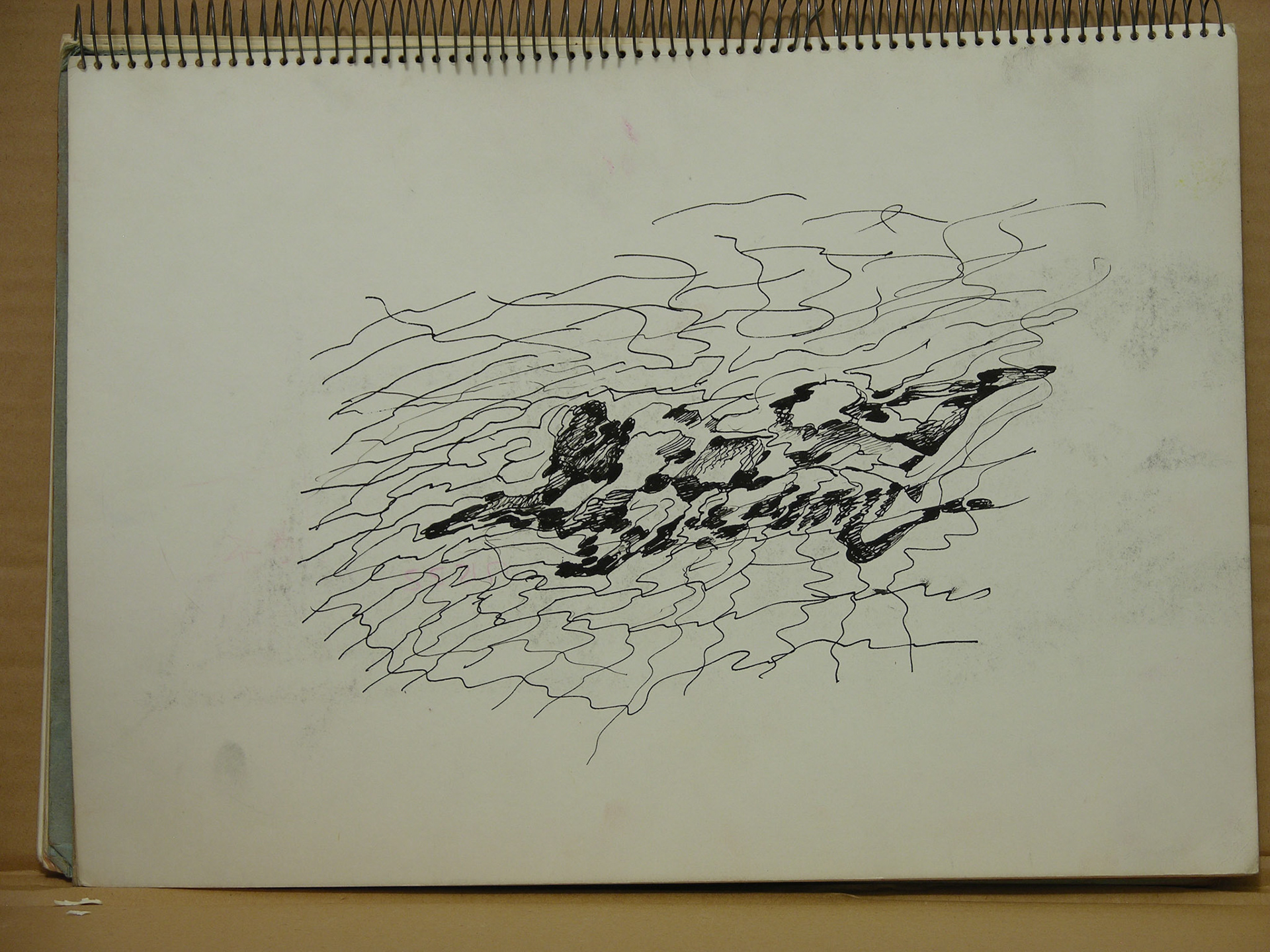 Plumilla/papel._34,4x24,7cm