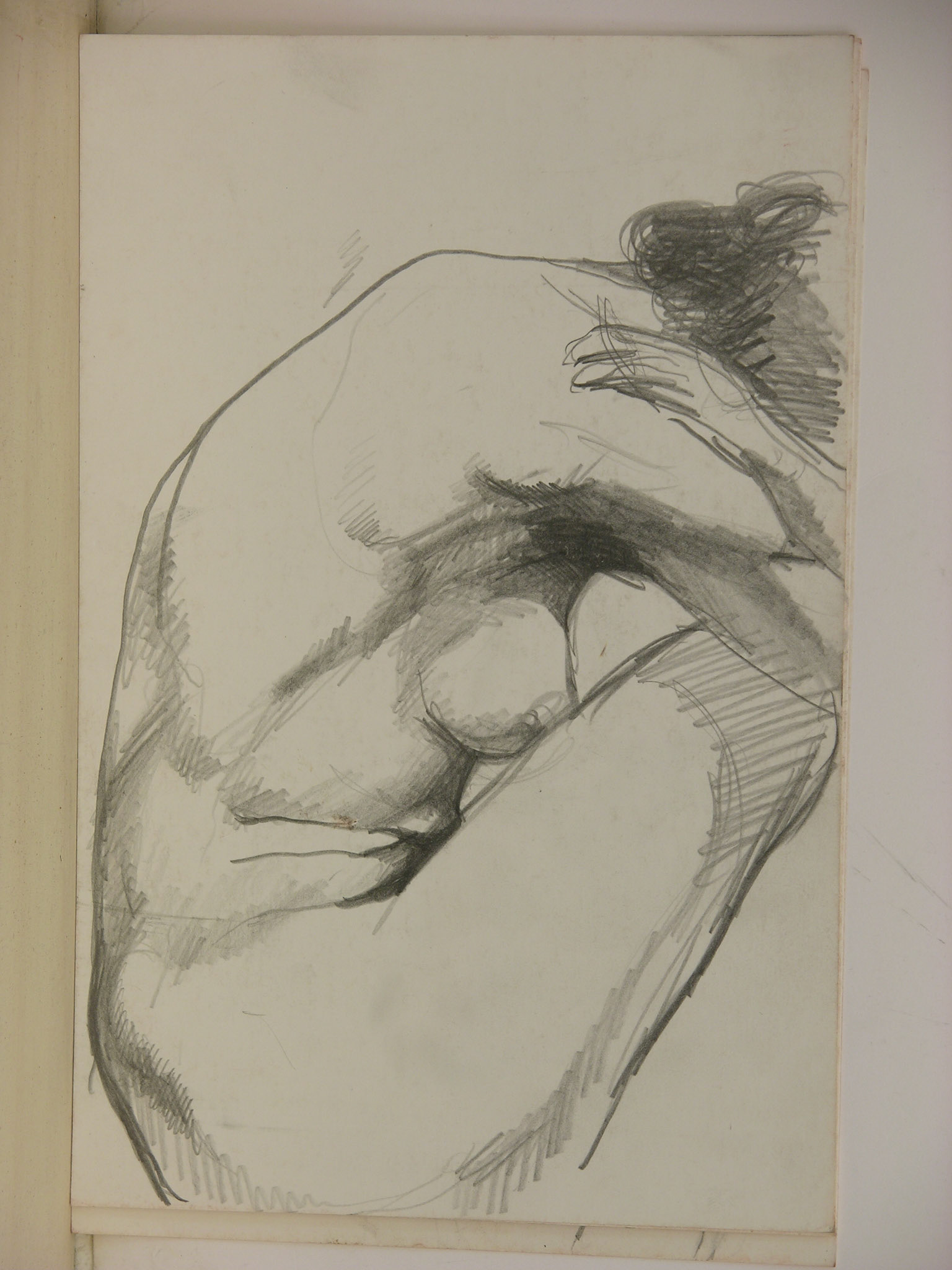 lápiz/pappel._ 25x16,3cm