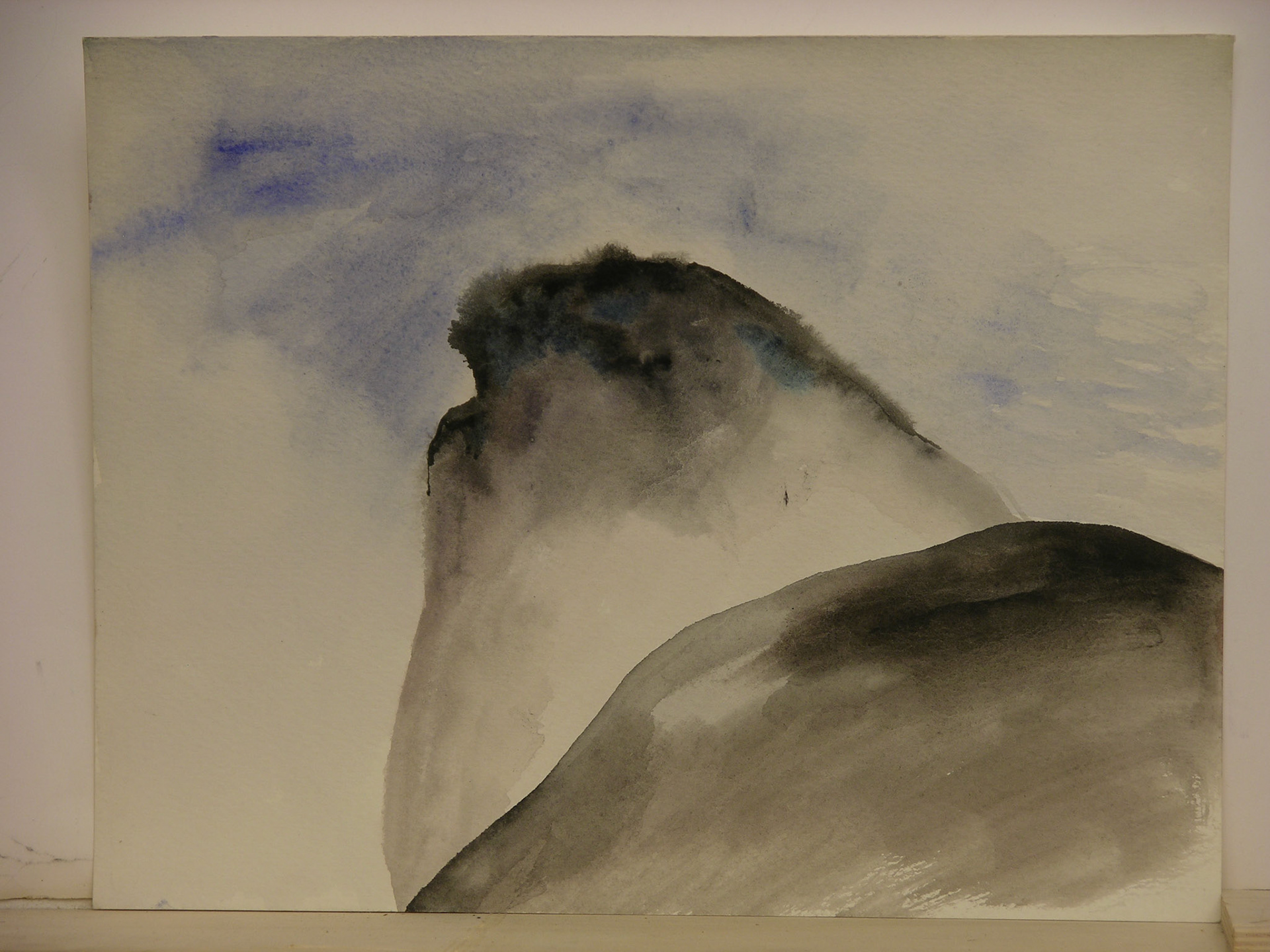 Aguada acrílica/cartulina._25x32cm