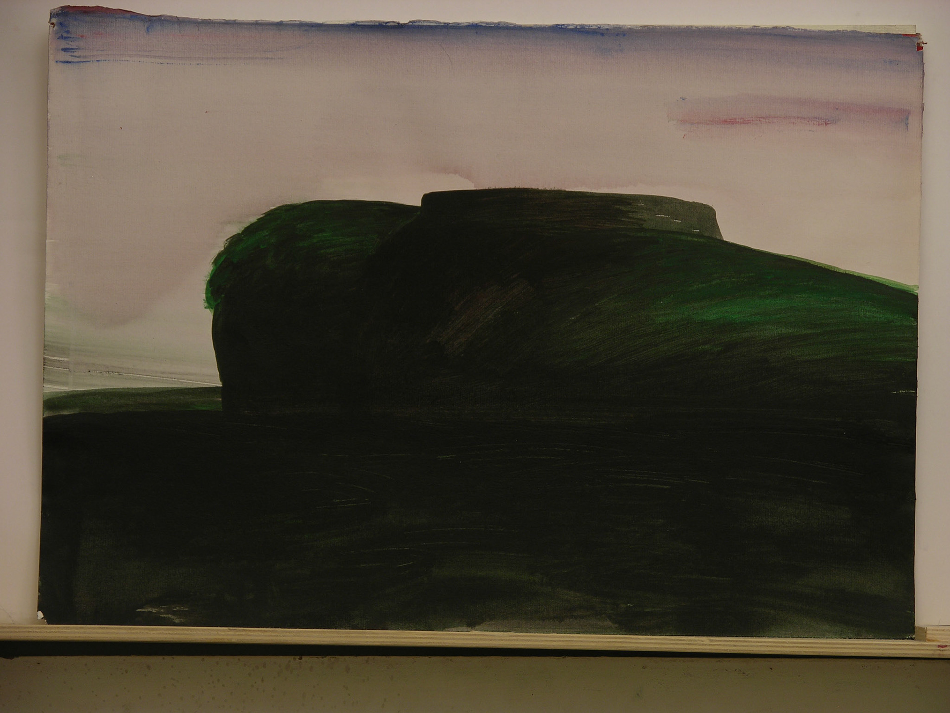 aguada  acrílica/cartulina._34,5x50cm