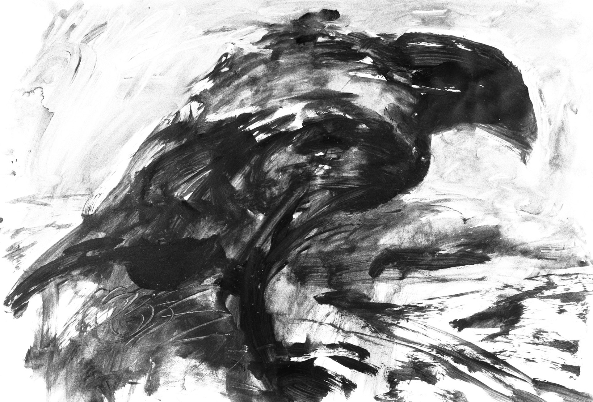 Aguada/papel.- 50x65cm