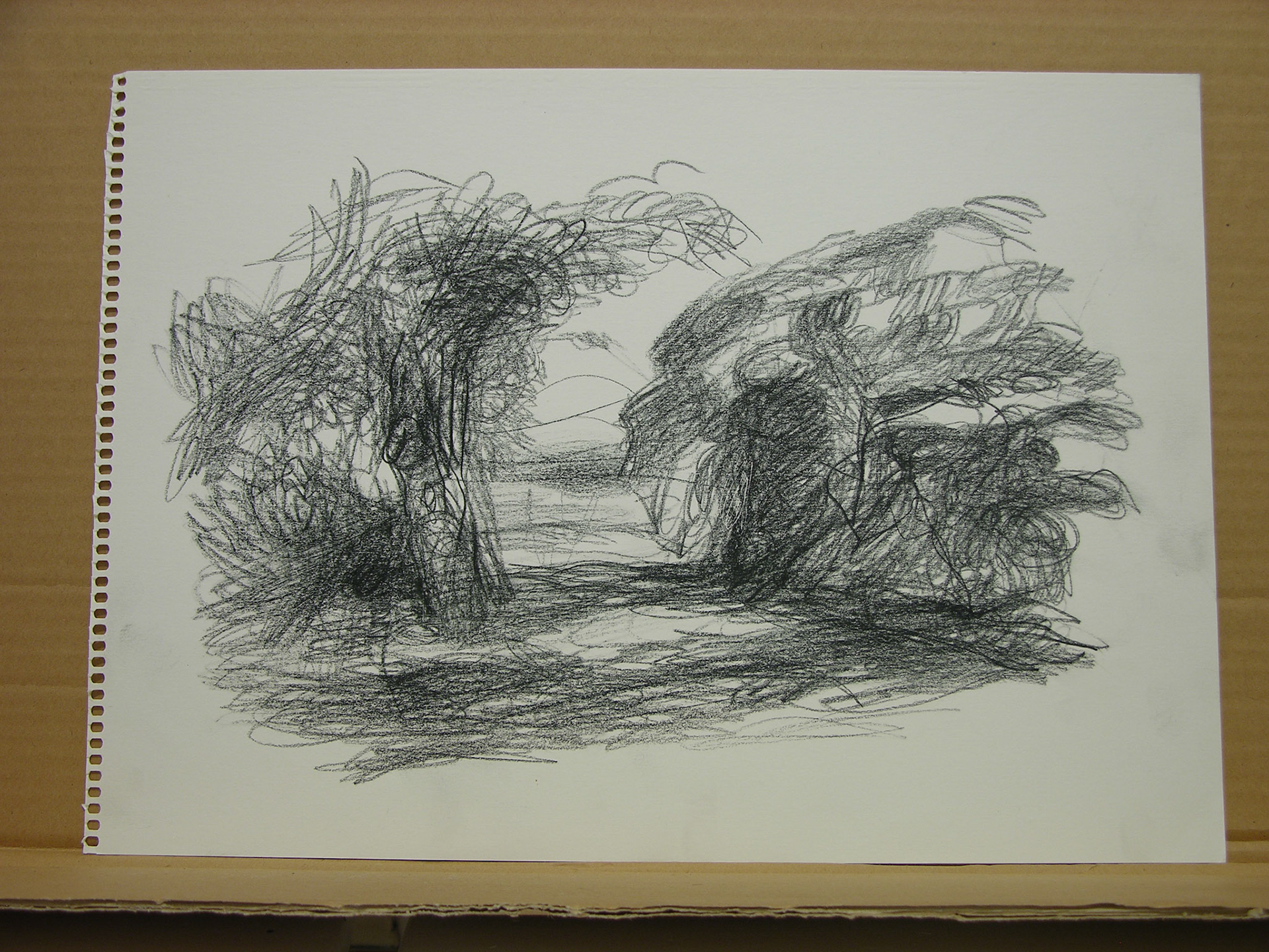 Lápiz/papel.-39,7x41cm