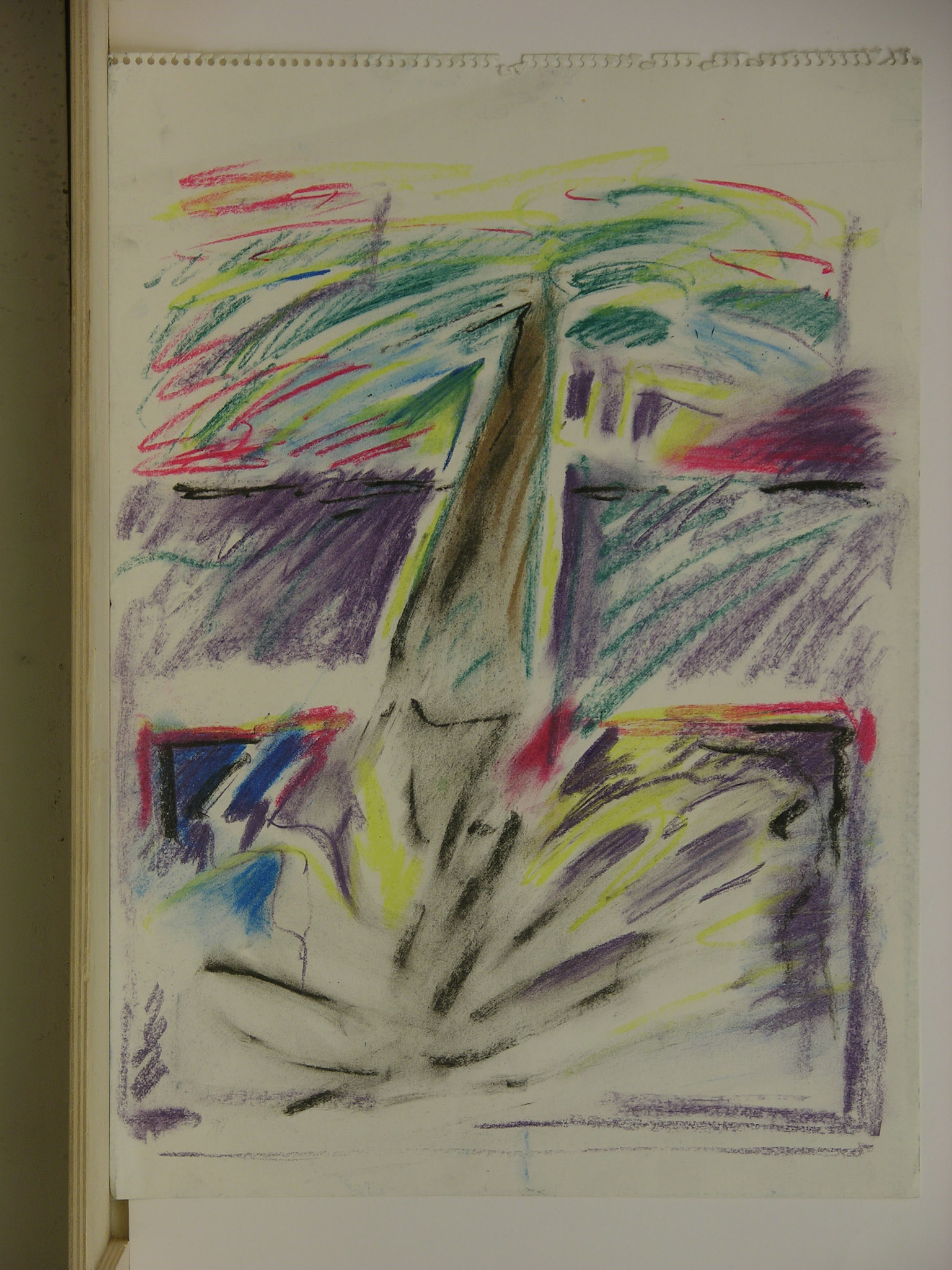 pastel/papel.-47x34cm