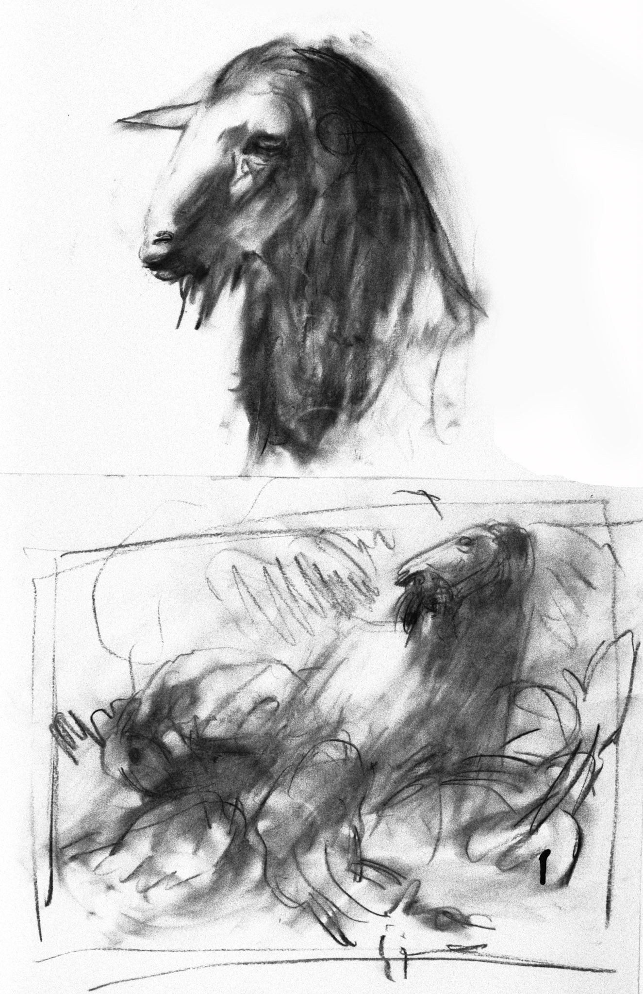 2 - Carboncillo/papel.-34,5x49,5cm