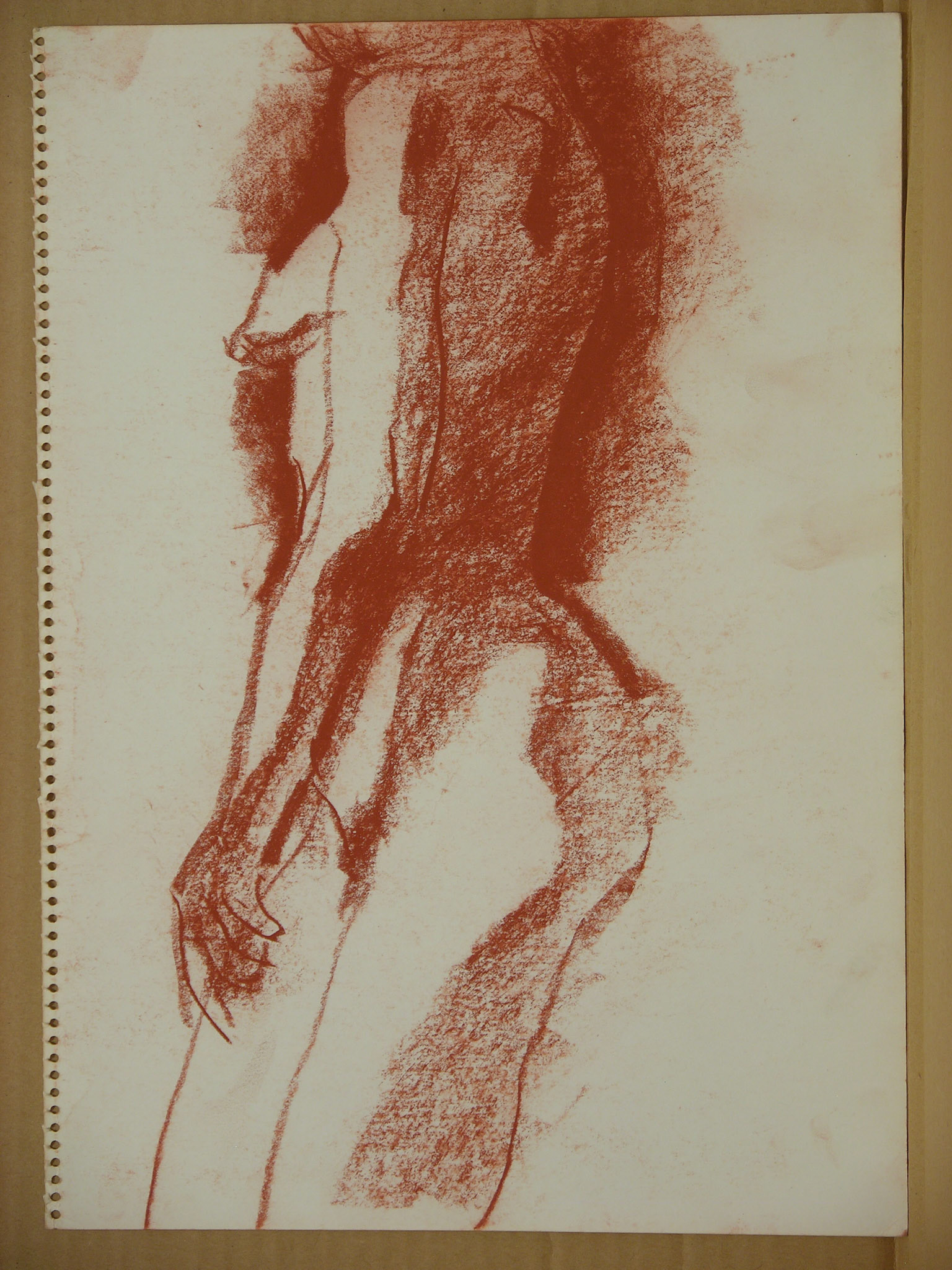 Sanguina/papel._ 34,3x24cm