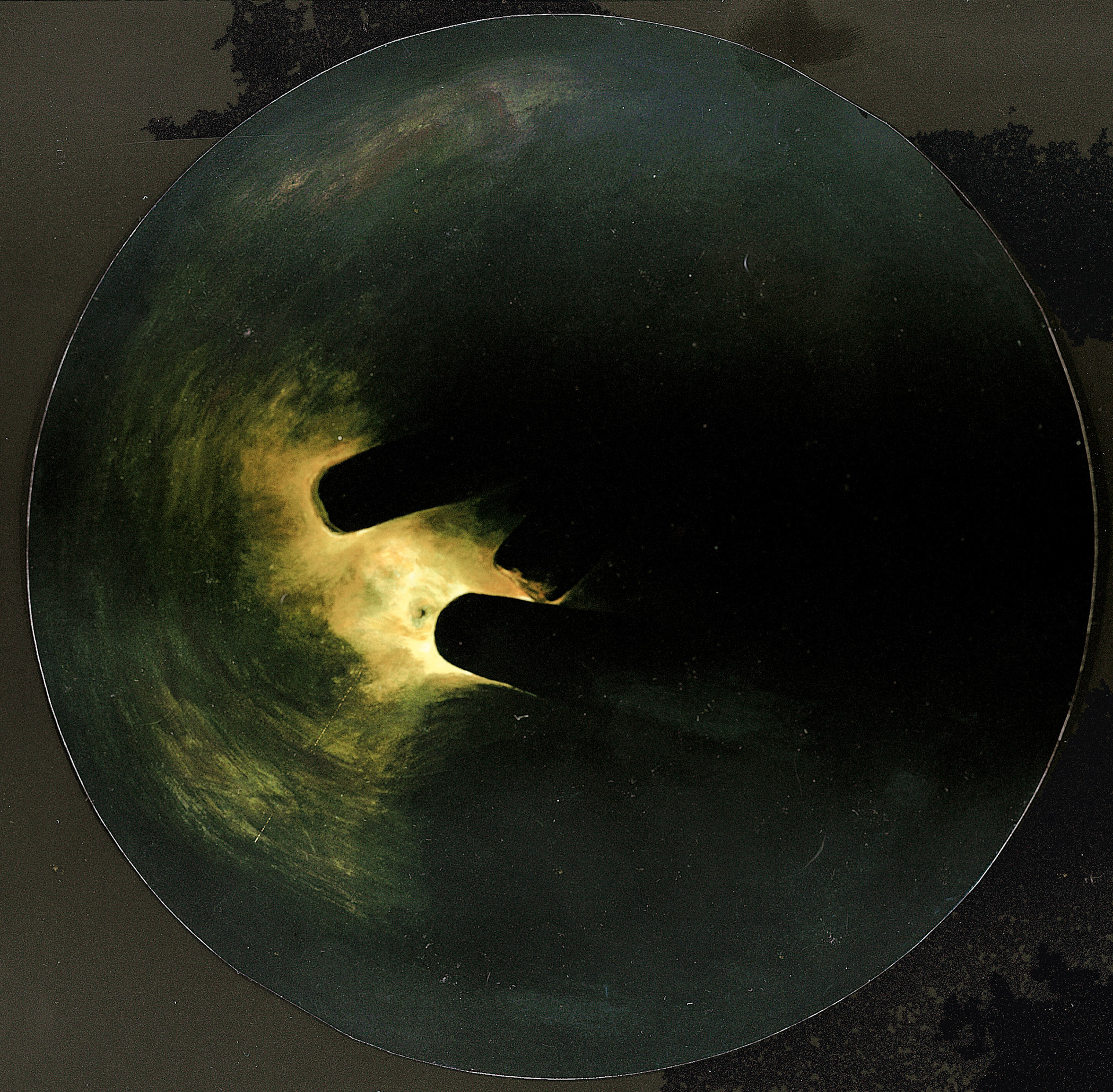 Acrílico/Tabla._100 cm