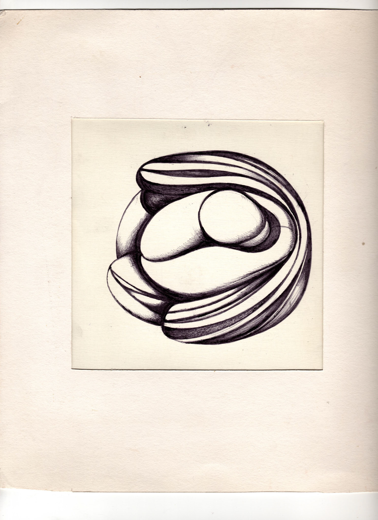 boligrafo/papel._ 14,3 x 14,3 cm