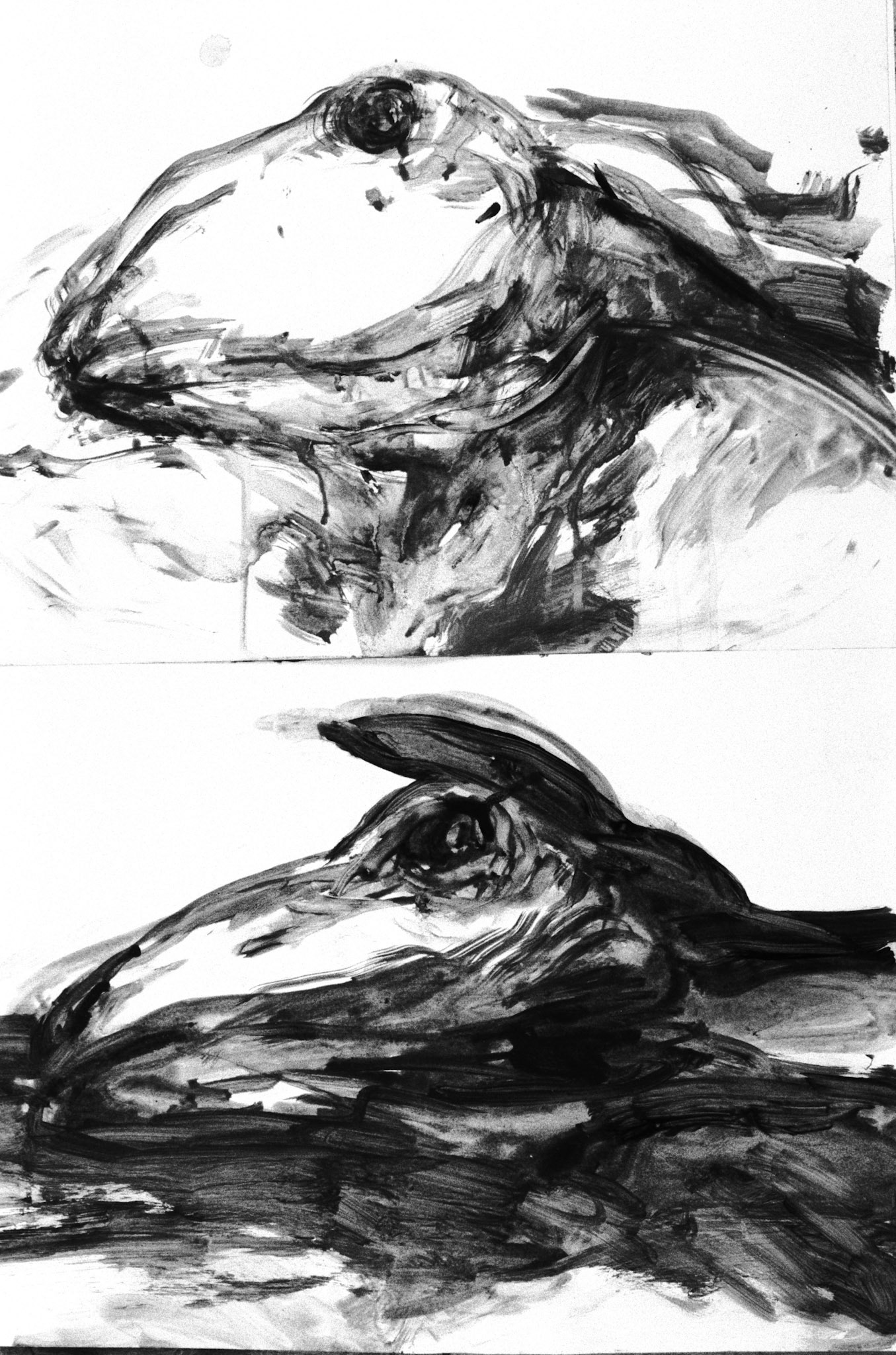 2 -Acrílico color/cartón.- 34,5x49,5cm