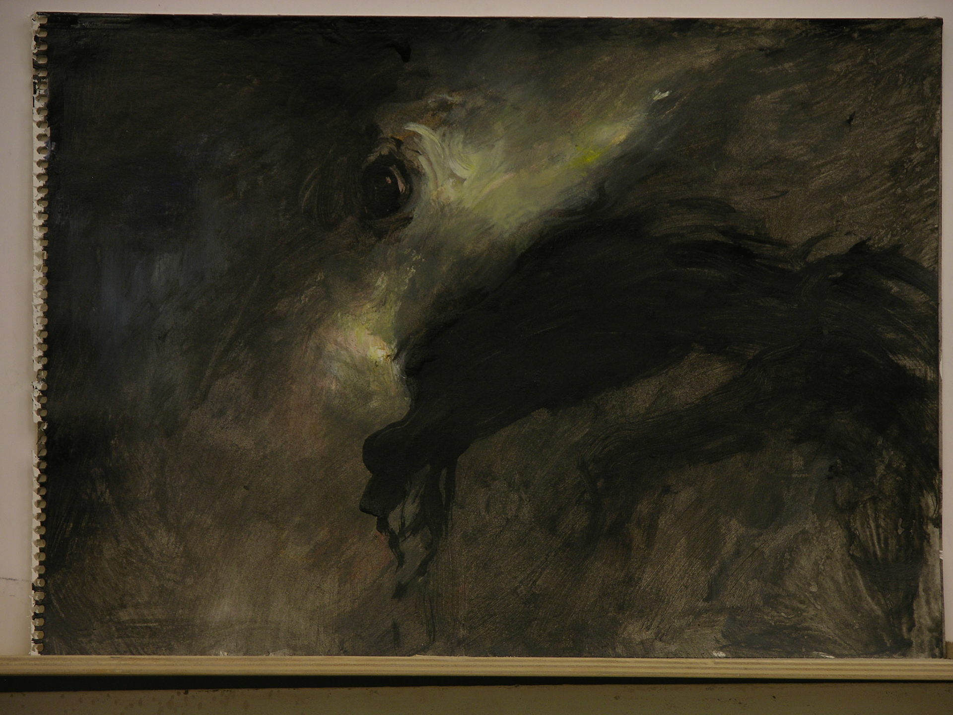 aguada acrílica/papel._29,7x41cm