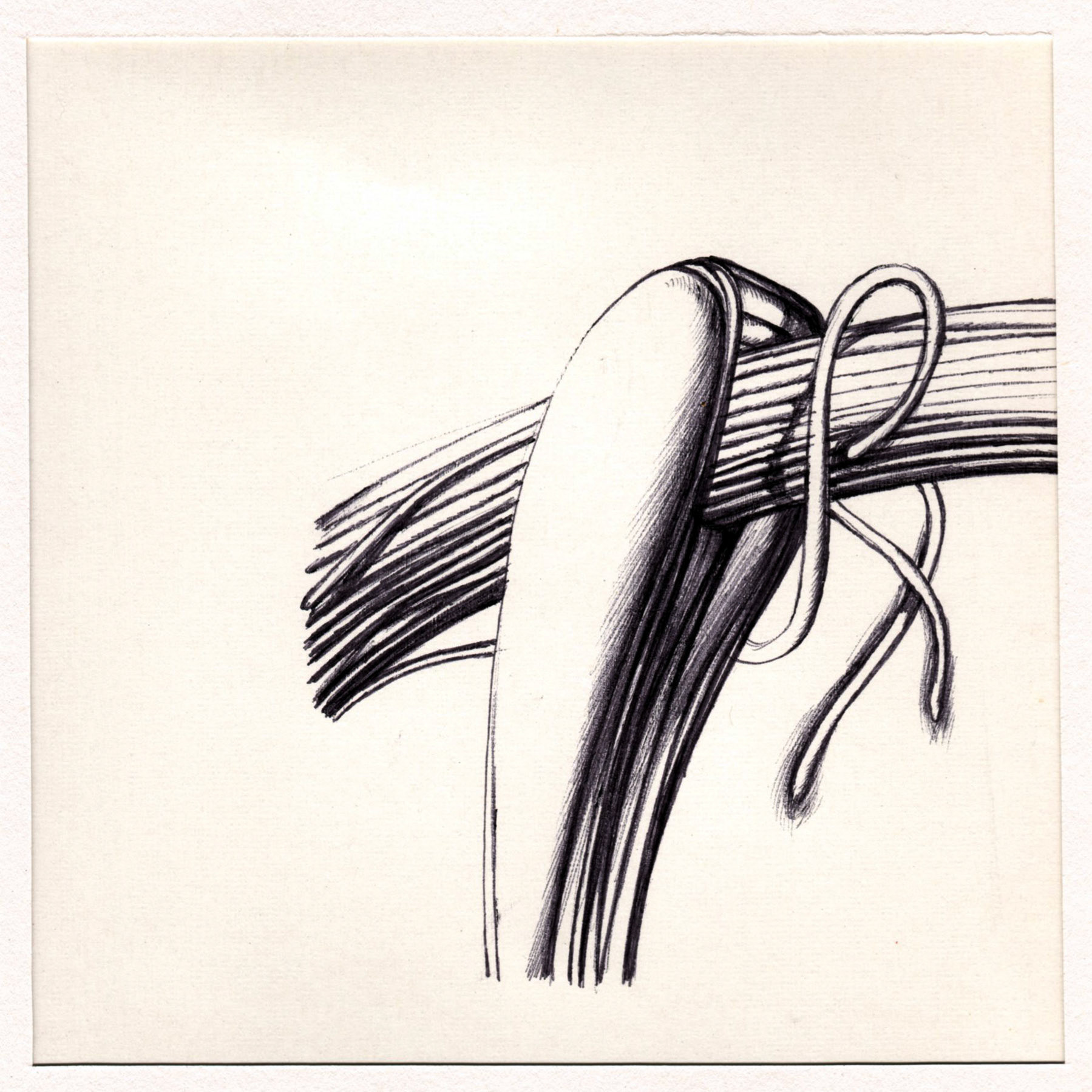 boligrafo/papel._ 14,3 x 14,3 cm