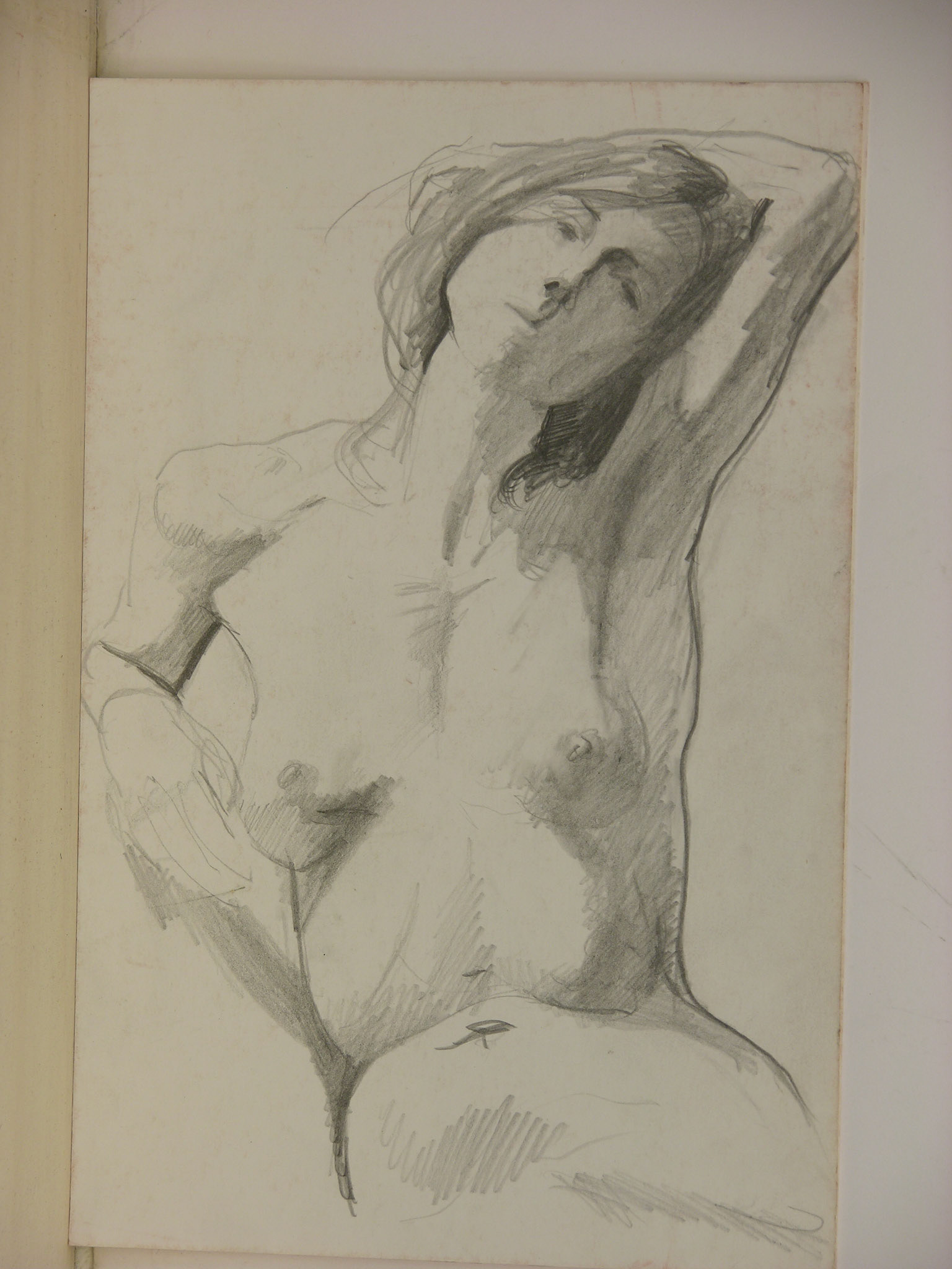 lápiz/pappel._ 25x16,3cm