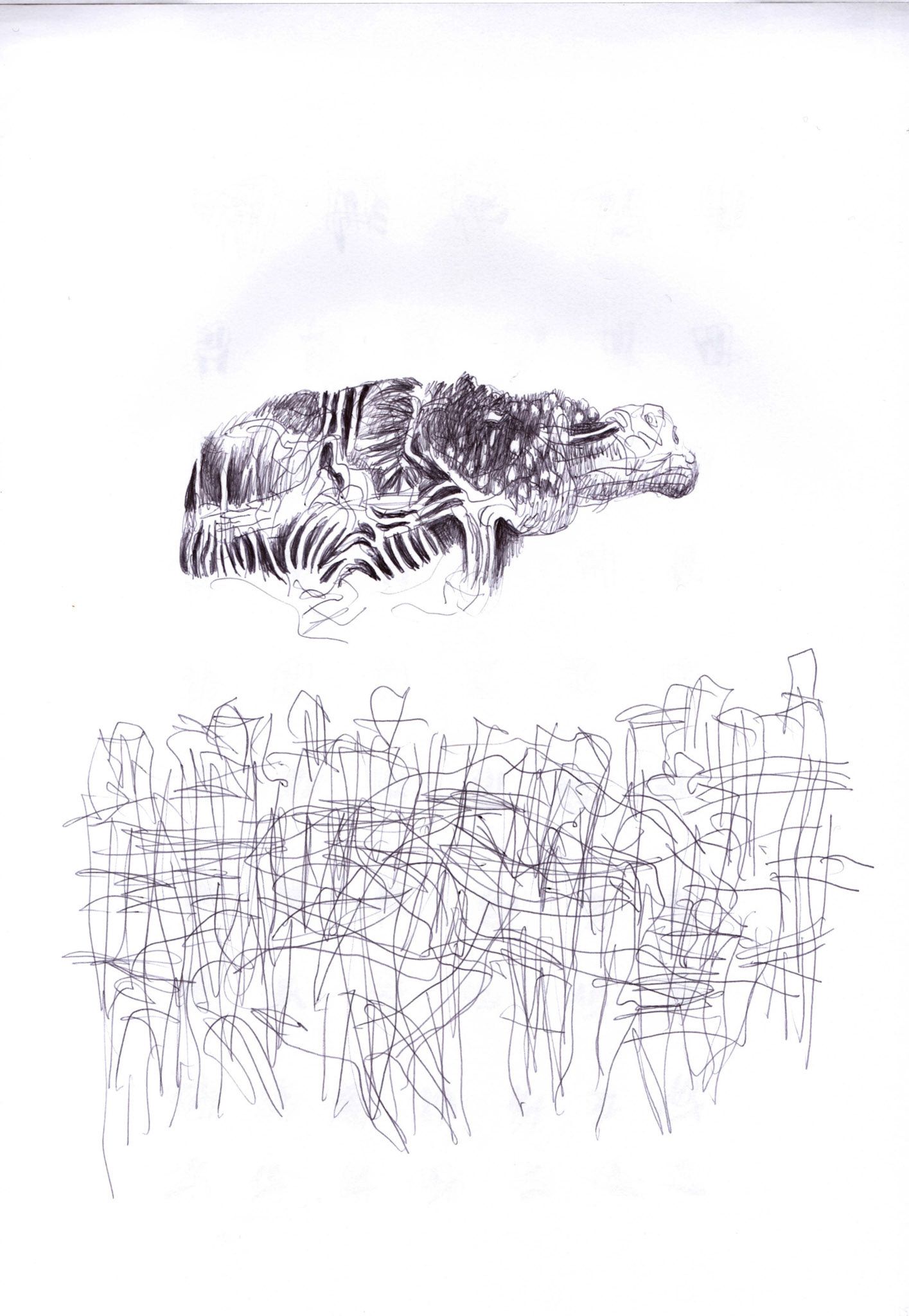 Bolígrafo / papel._ 29,5 x 20,5 cm.