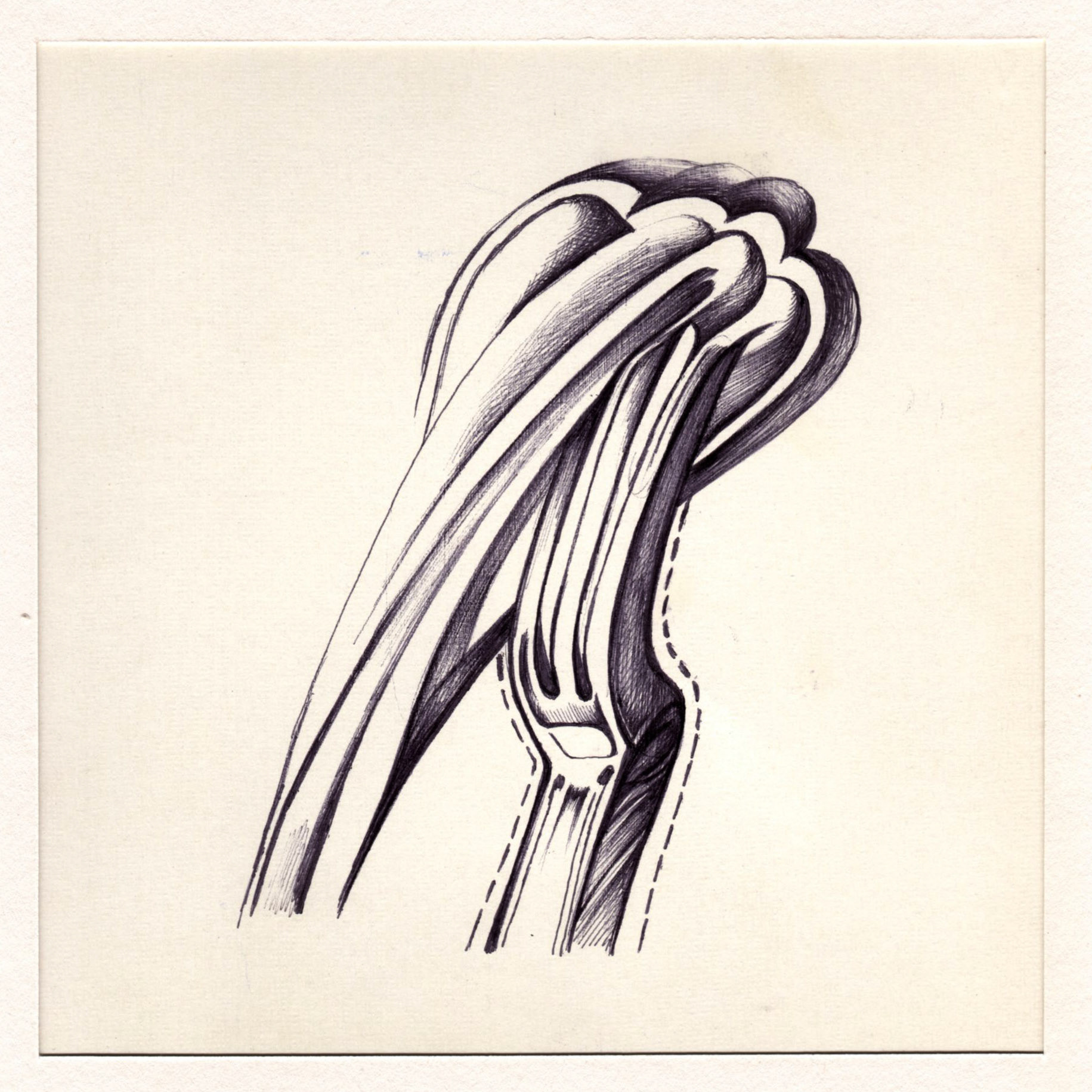 boligrafo/papel._ 14,3 x 14,3 cm