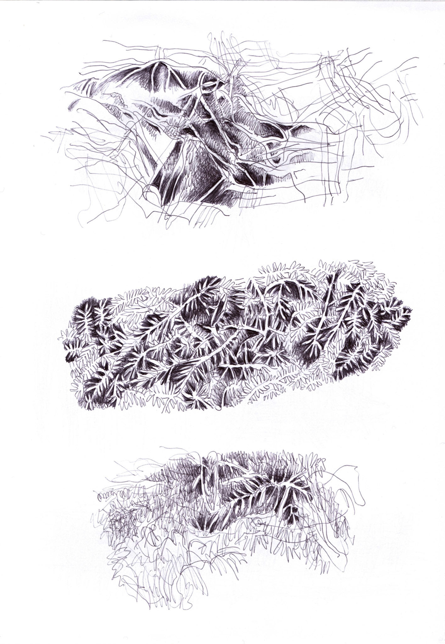 Bolígrafo / papel._ 29,5 x 20,5 cm.