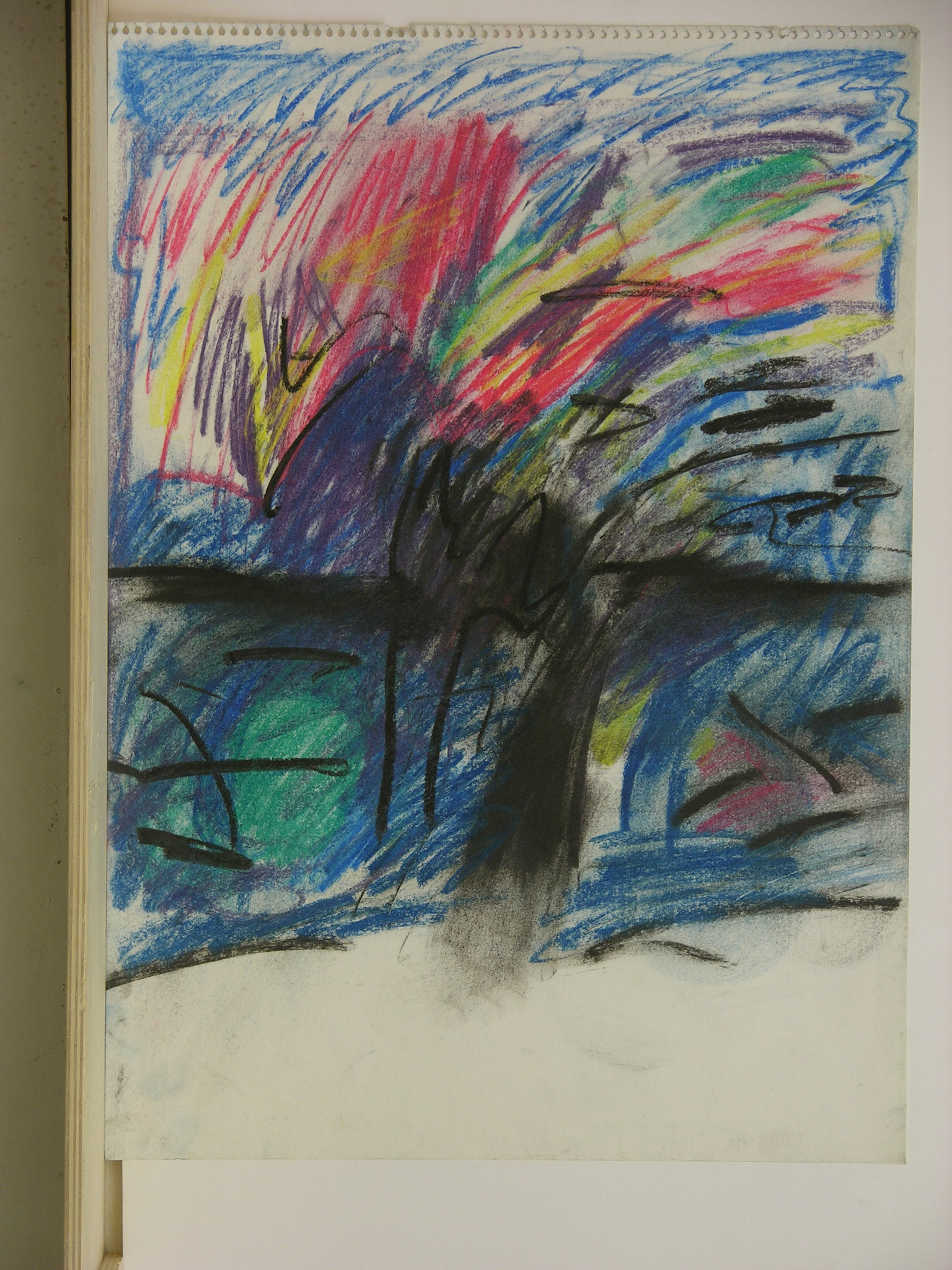 pastel/papel.-47,5x34cm