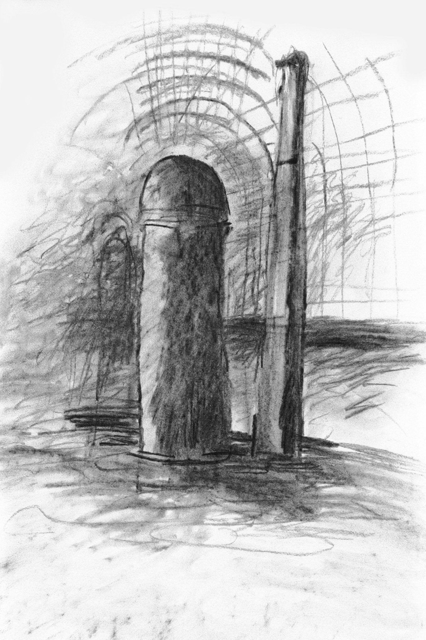 Carboncillo/papel.-65x49,5cm