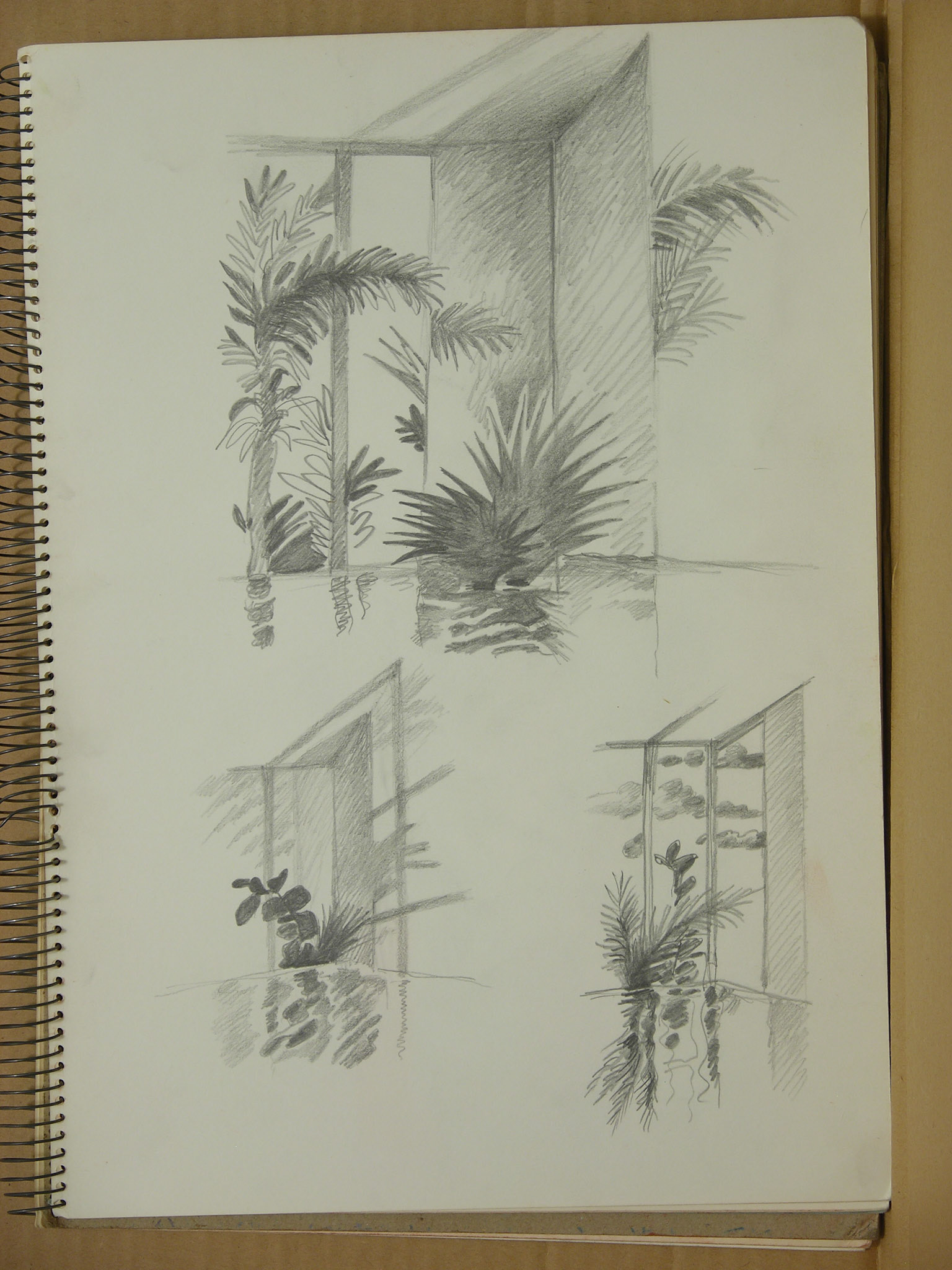 Lápiz/papel._ 34,4x24,7cm