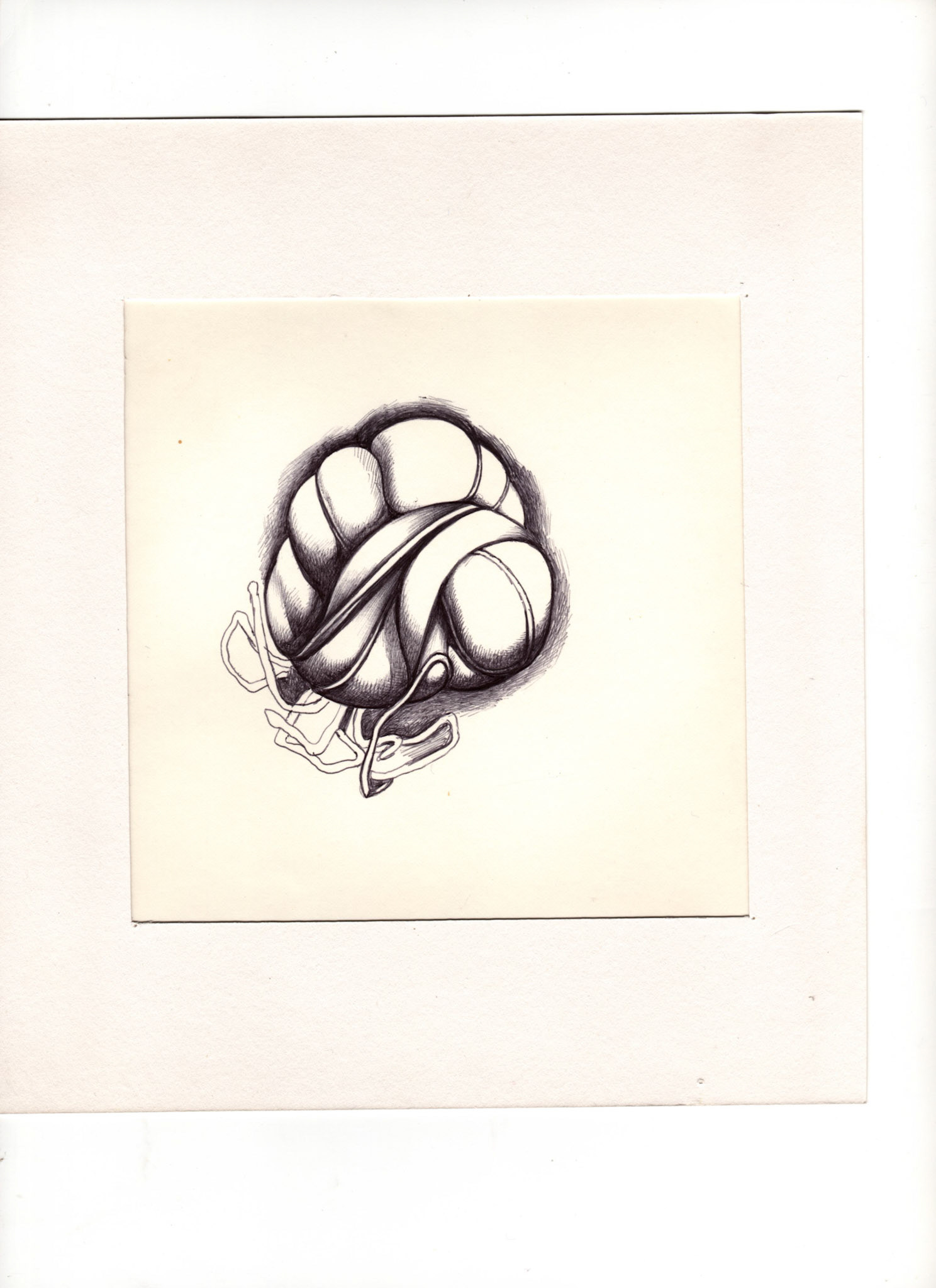 boligrafo/papel._ 14,3 x 14,3 cm