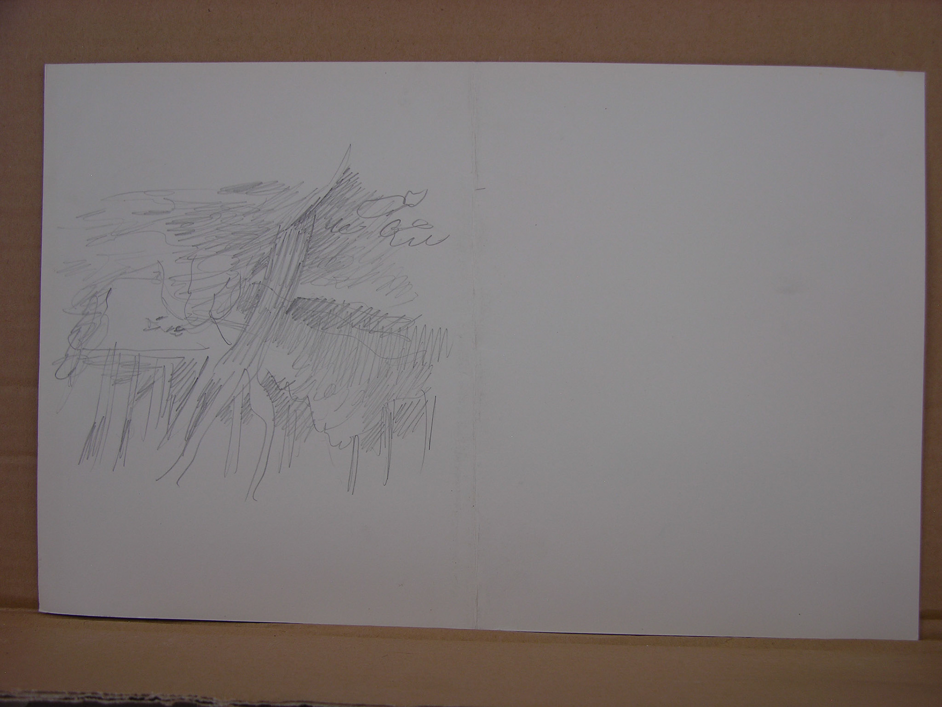 Lápiz/papel .- 24x19cm