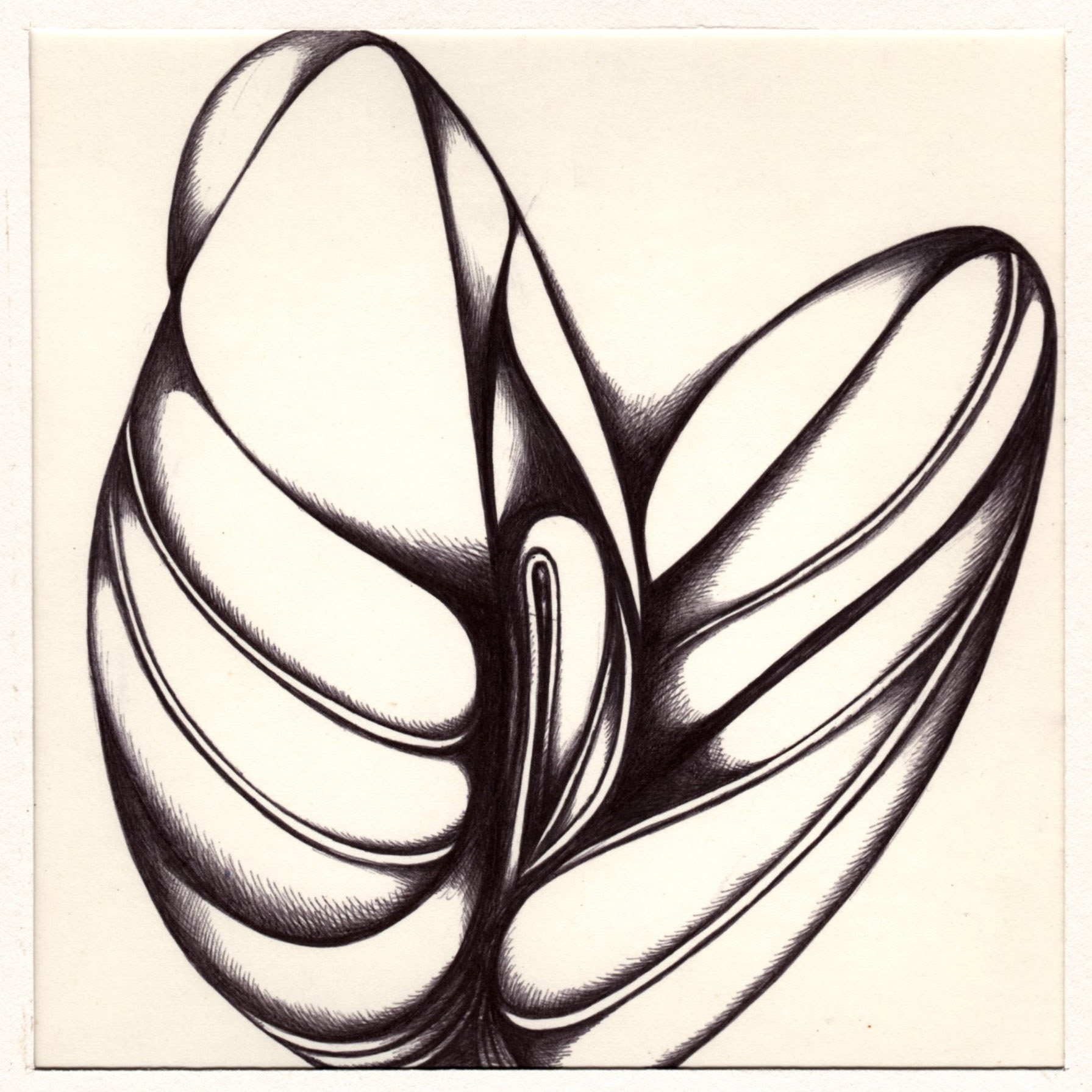 boligrafo/papel._ 14,3 x 14,3 cm