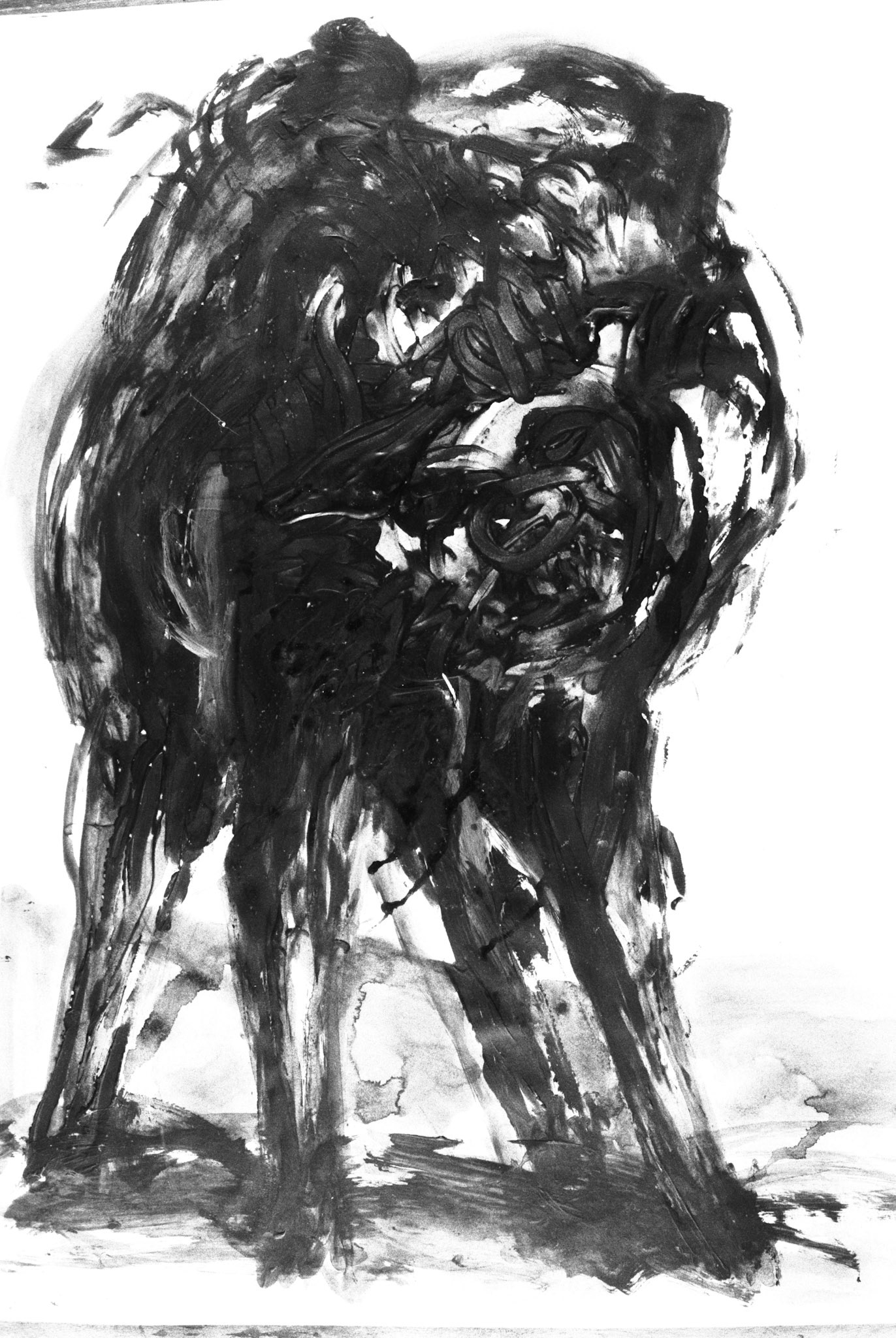 Acrílico/papel,- 65x50cm