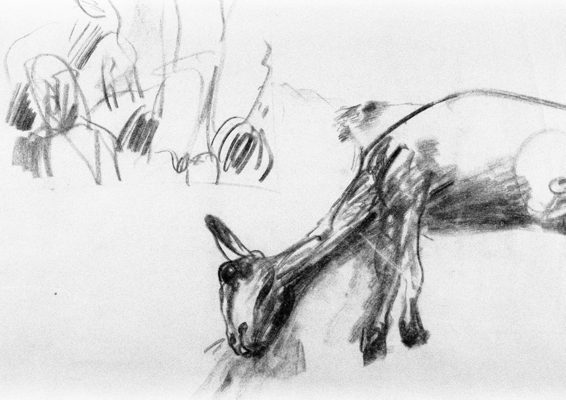 Carboncillo/papel.- 46,5x62,7cm