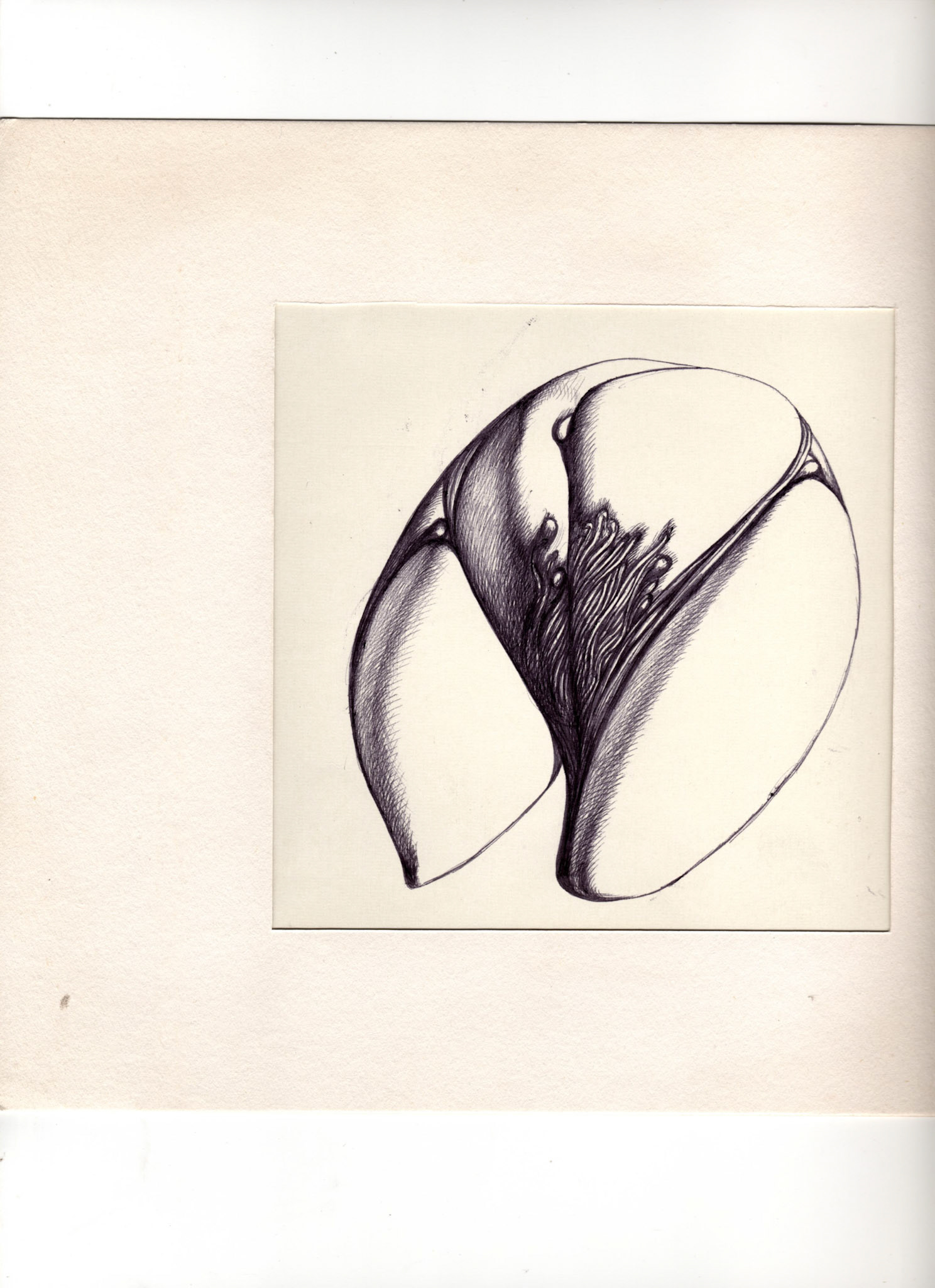 boligrafo/papel._ 14,3 x 14,3 cm