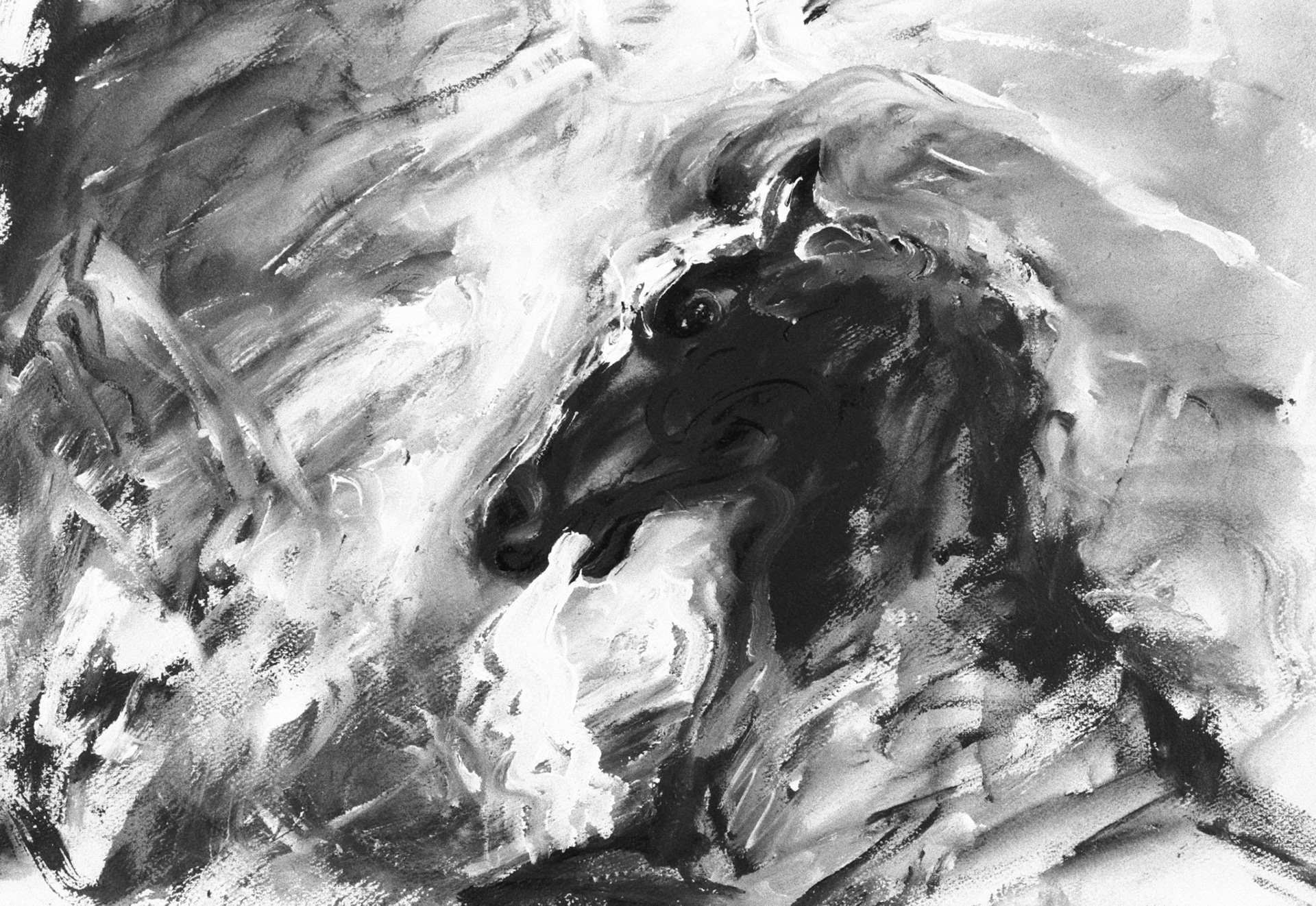 Aguada/papel.- 50x64,4cm