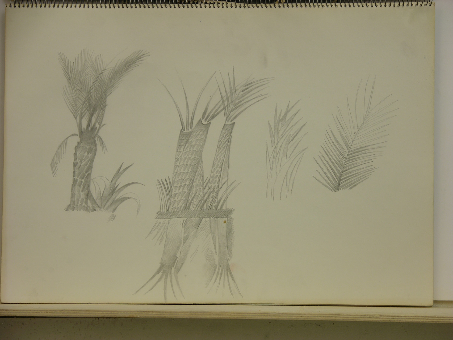 Lápiz/papel.-33,5x49,4cm