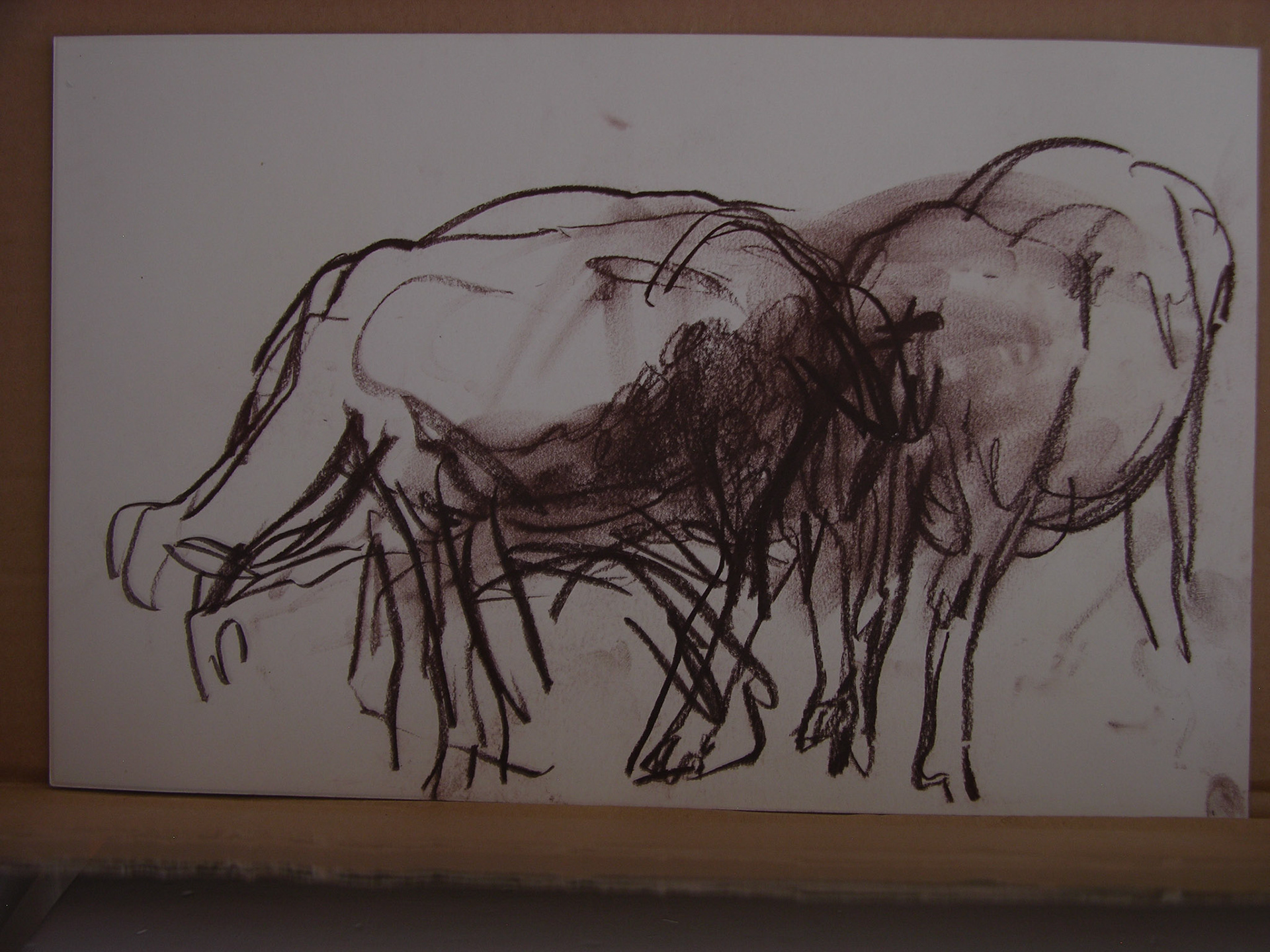 Barra conté/papel .- 24x37,7cm