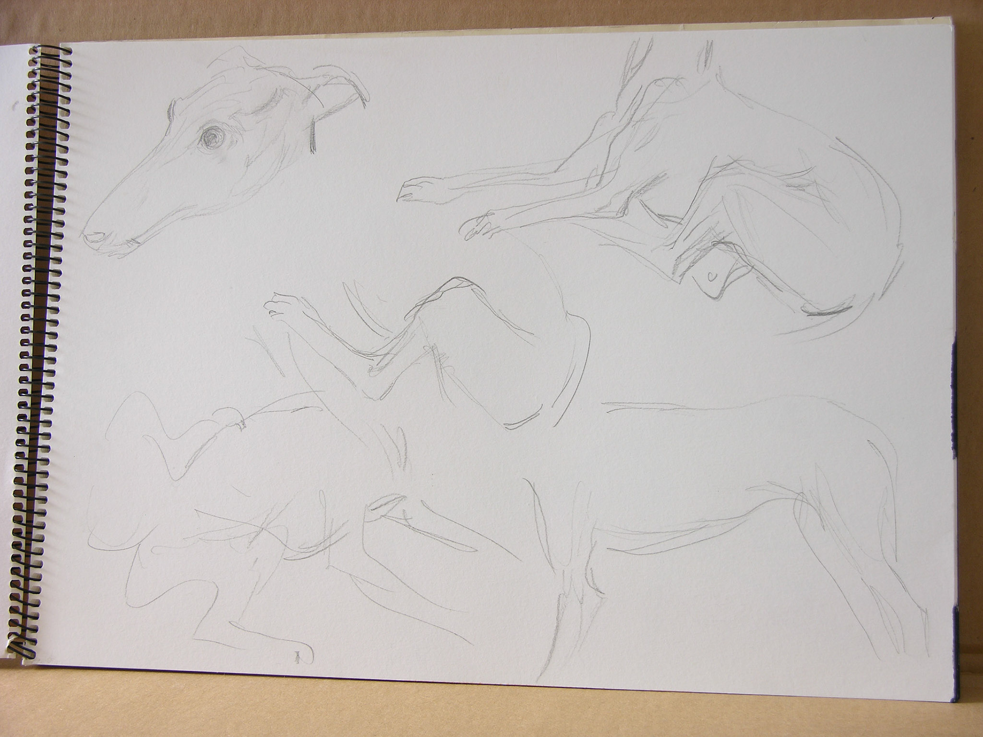 Lápiz/papel.- 42x29,7cm