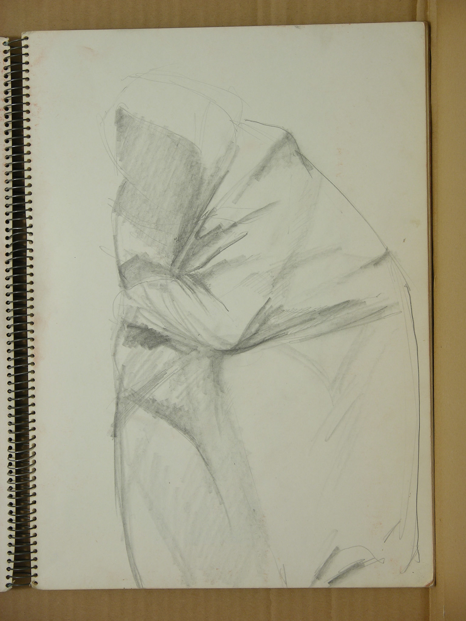 Lápiz/papel._34,4x24,7cm