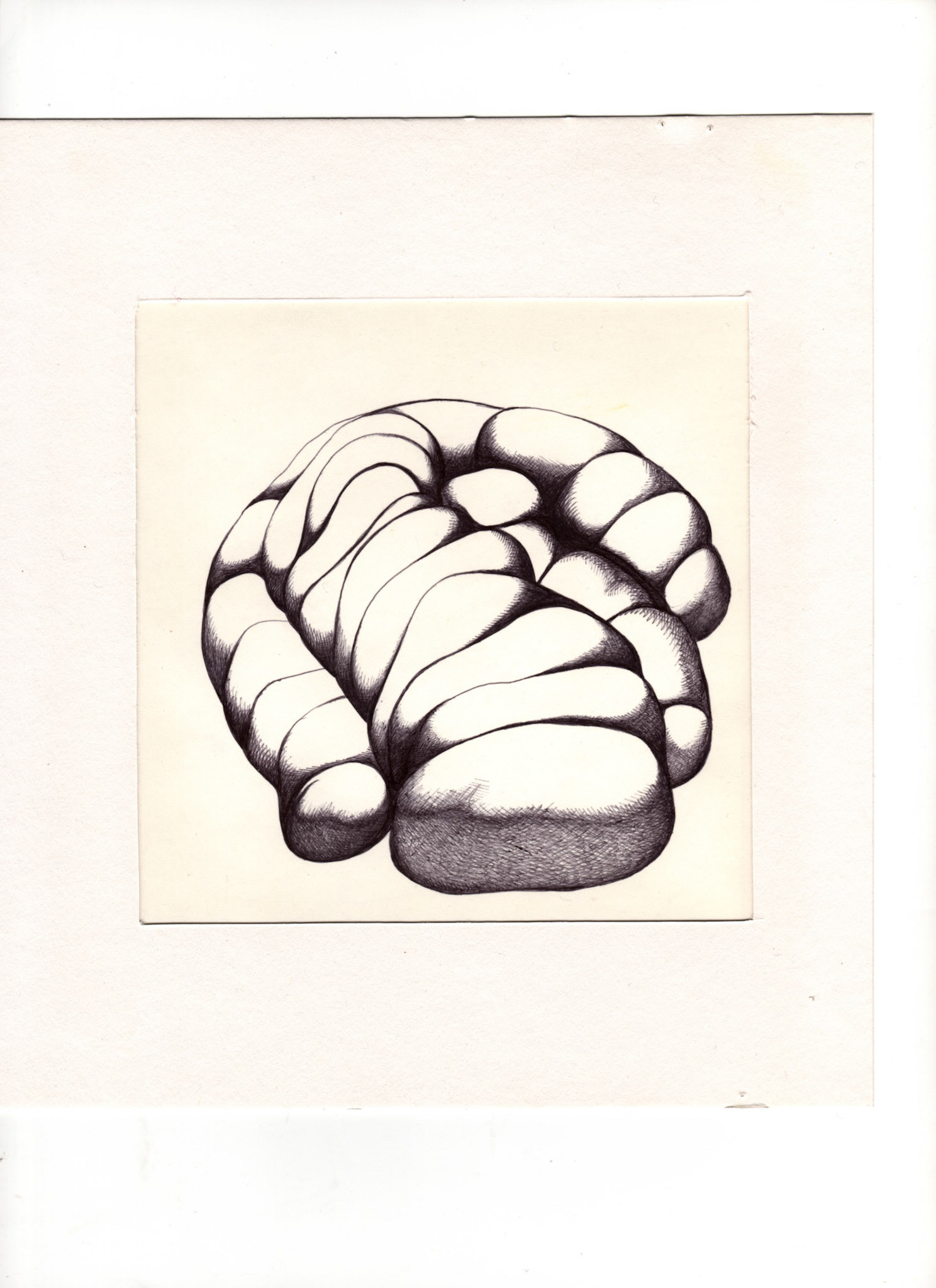 boligrafo/papel._ 14,3 x 14,3 cm