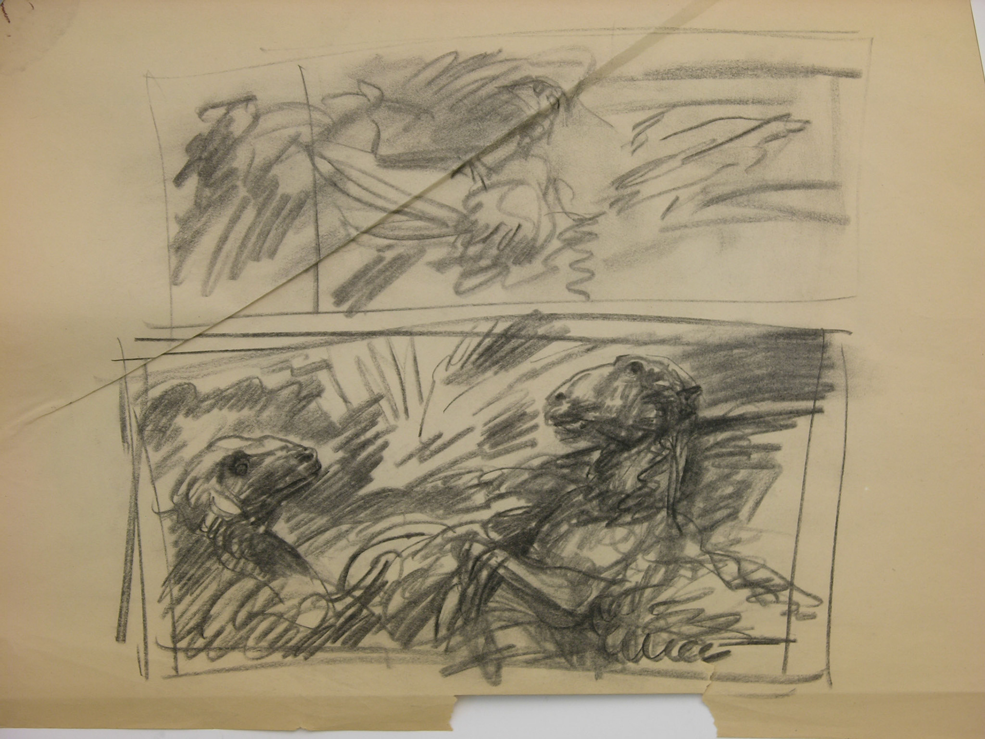 carboncillo/papel._ 45x60cm