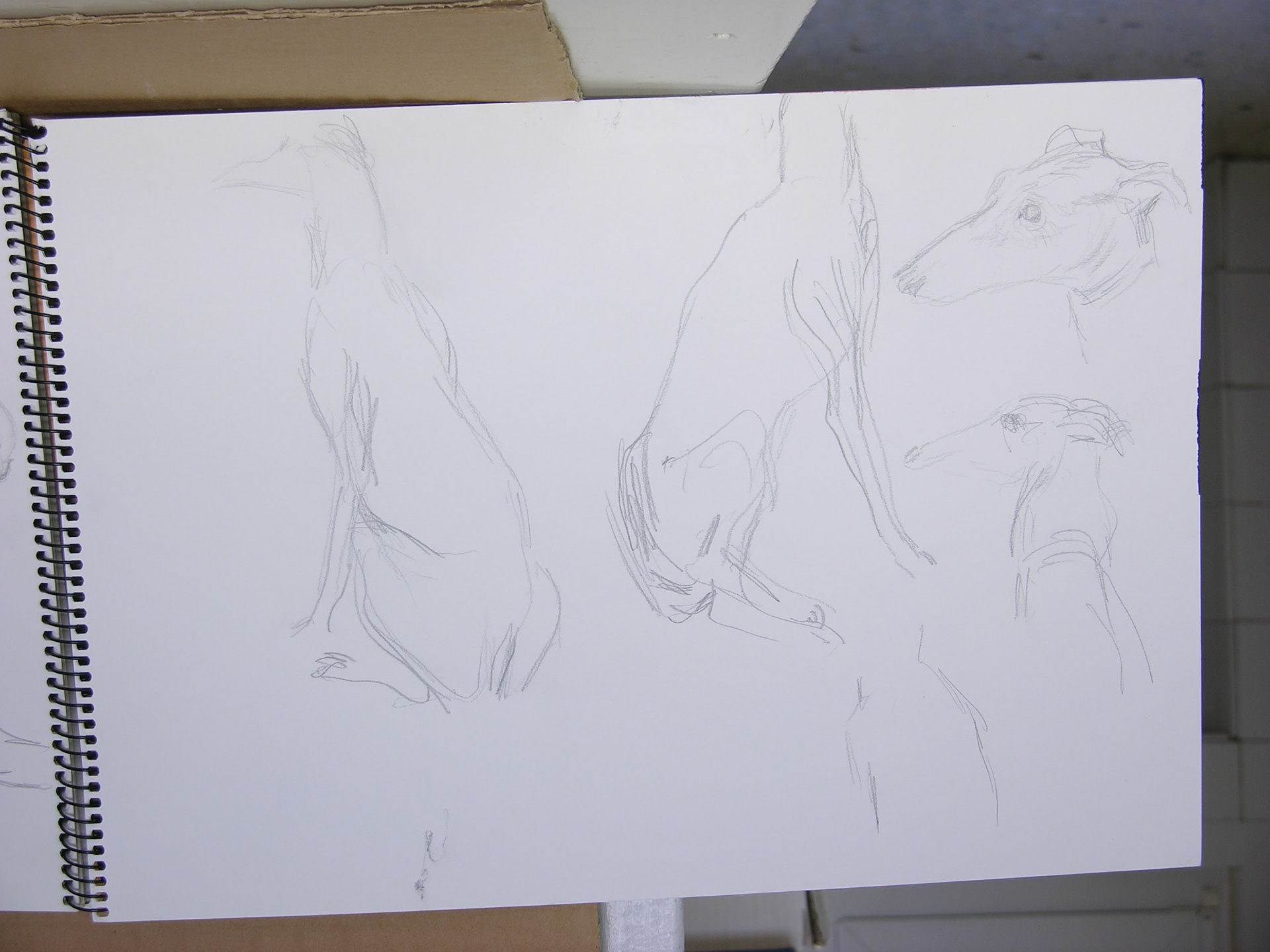 Lápiz/papel.- 42x29,7cm