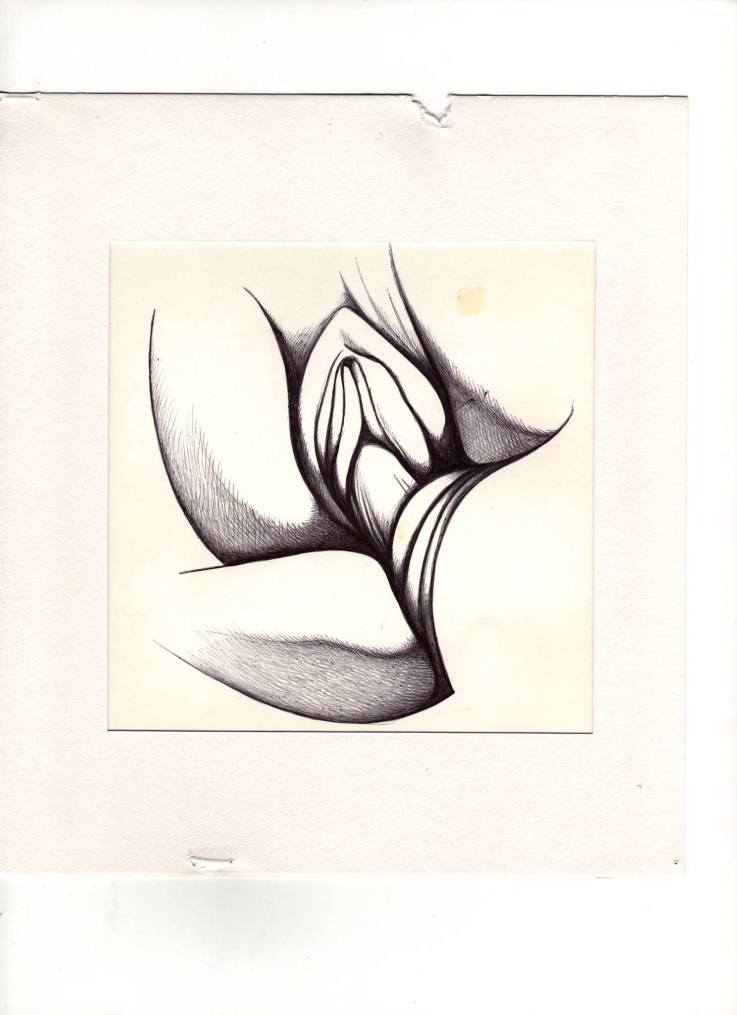 boligrafo/papel._ 14,3 x 14,3 cm