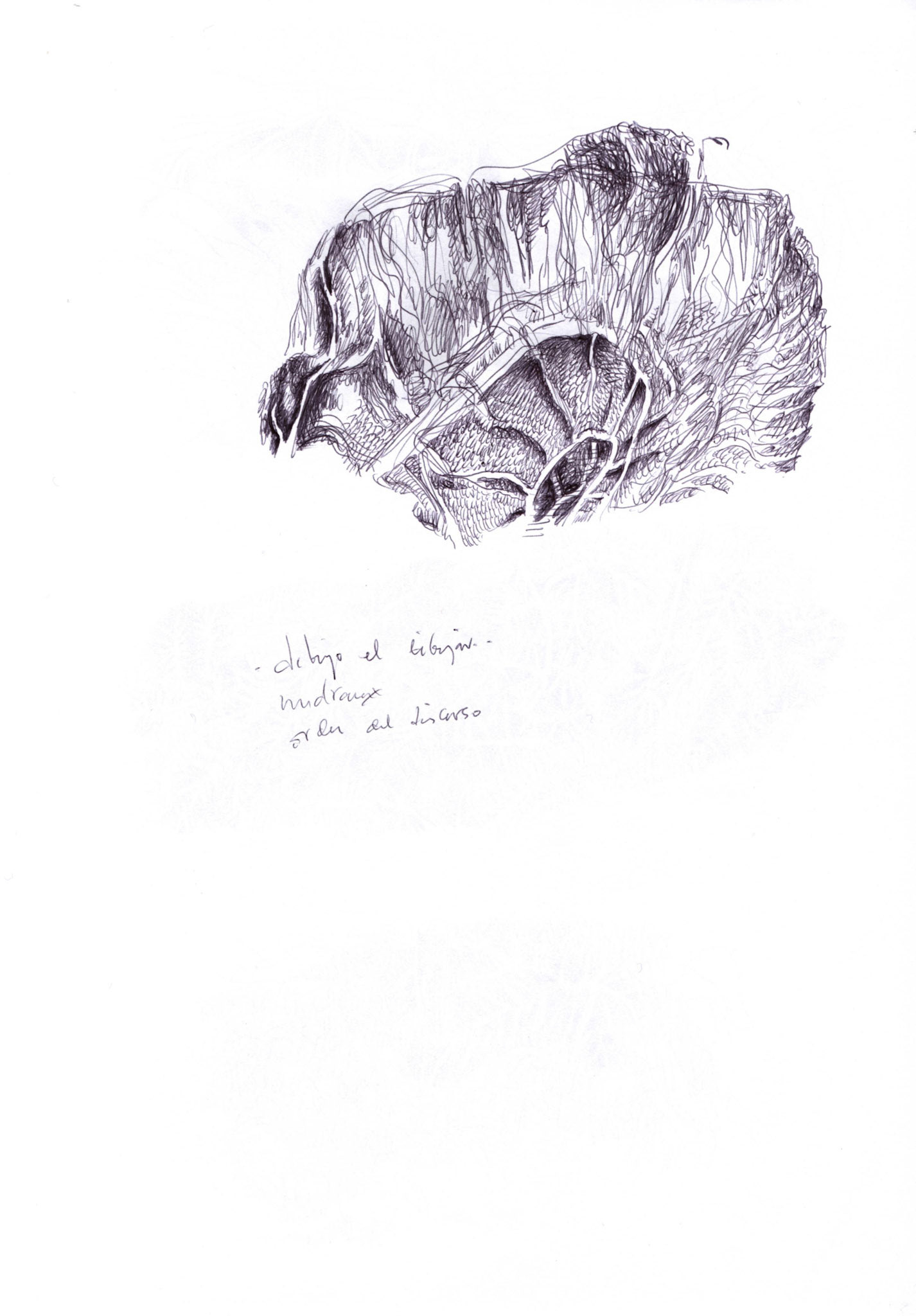 Bolígrafo / papel._ 29,5 x 20,5 cm.