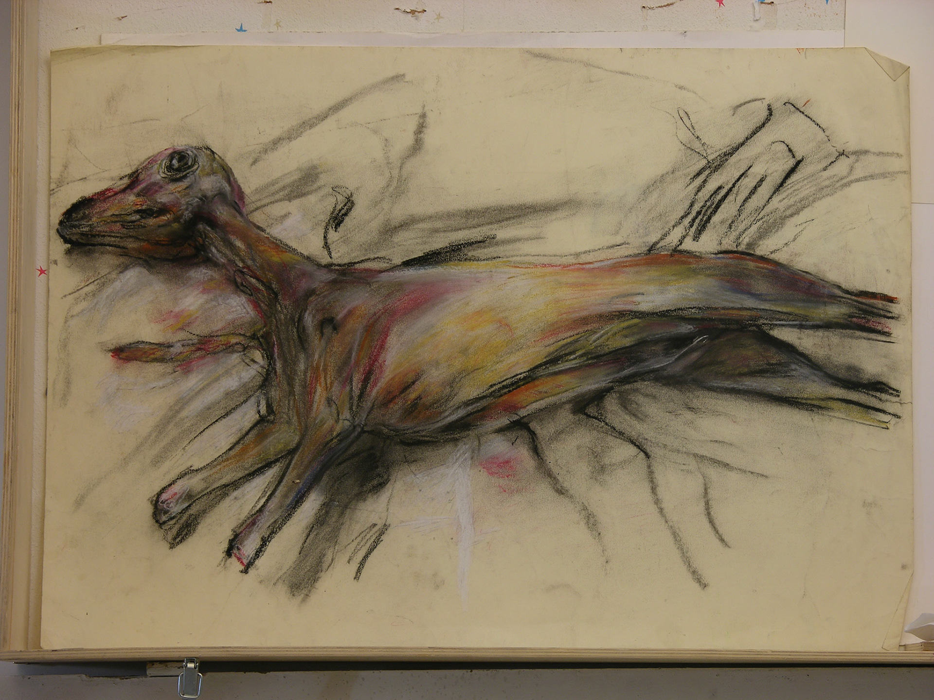 carboncillo, pastel/papel._ 49,5x70cm