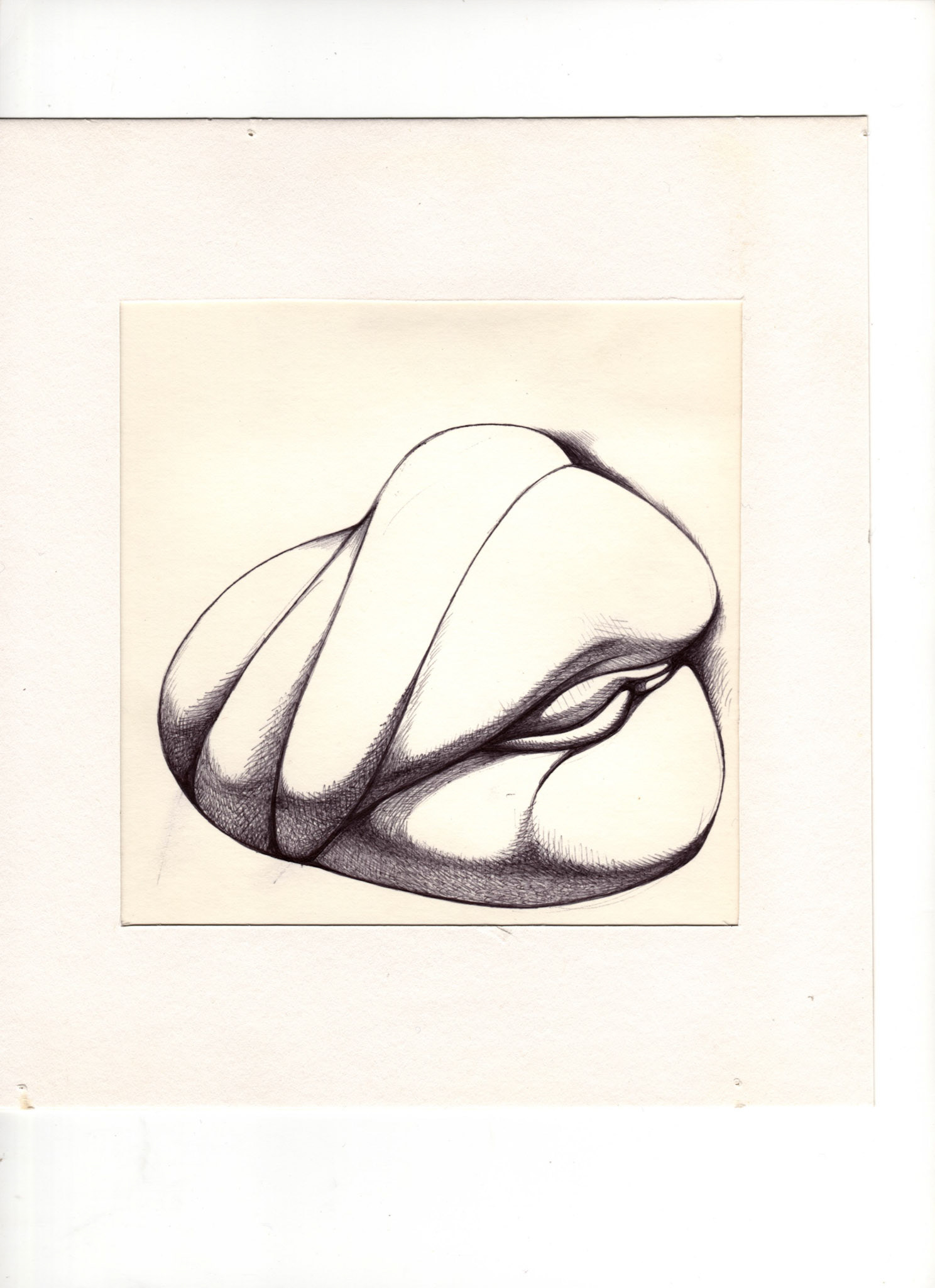 boligrafo/papel._ 14,3 x 14,3 cm