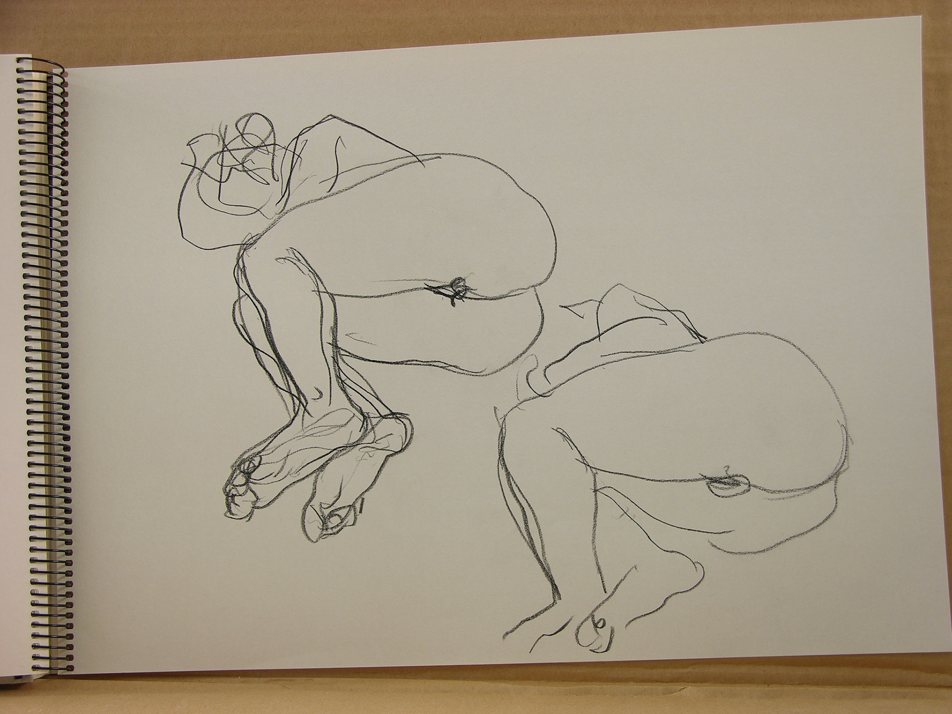 Lápiz/papel.-29,6x41cm