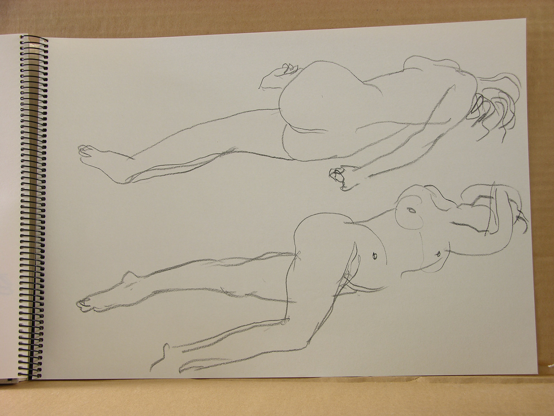 Lápiz/papel.-29,6x41cm