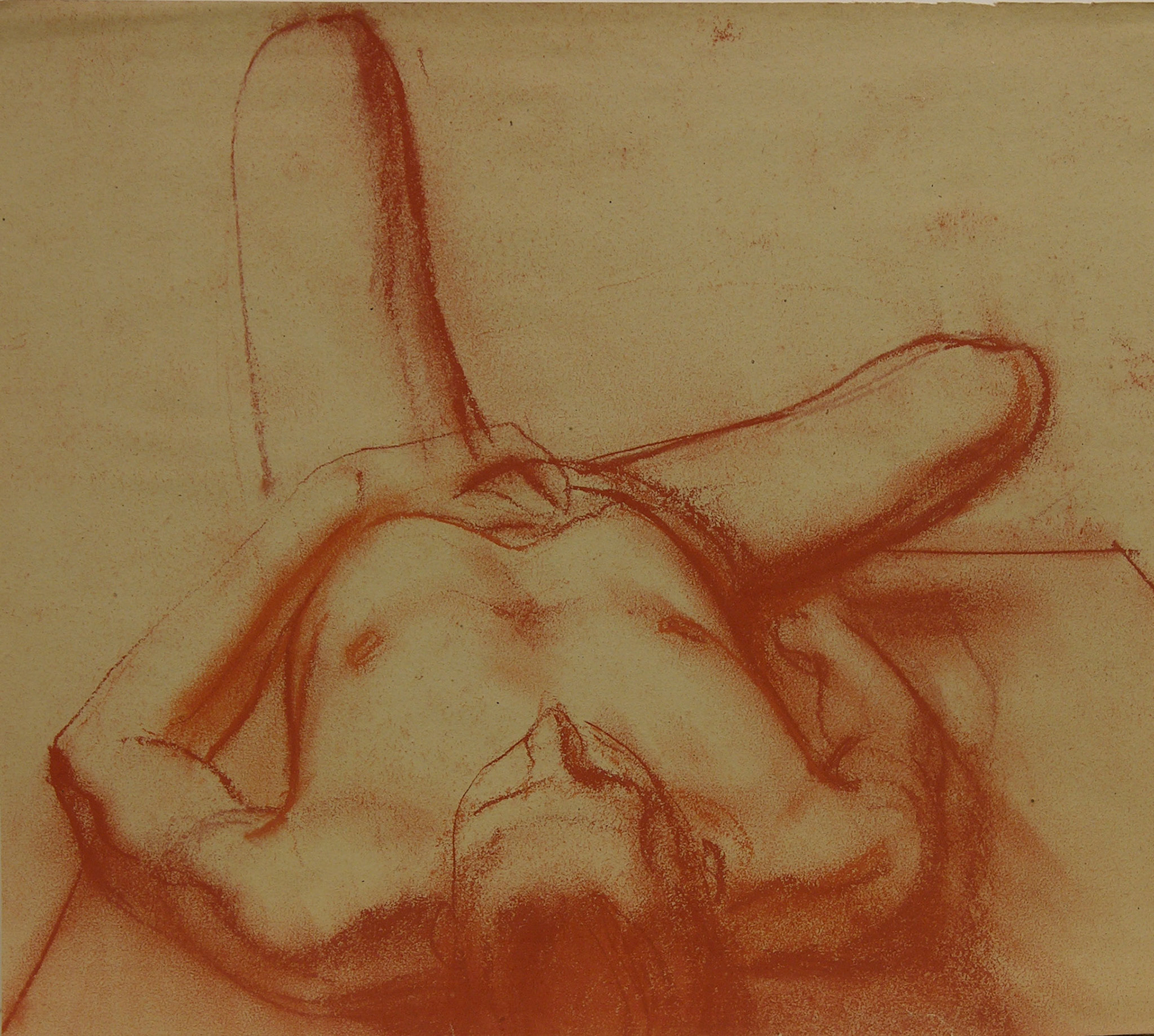 Sanguina/papel._ 32x38cm