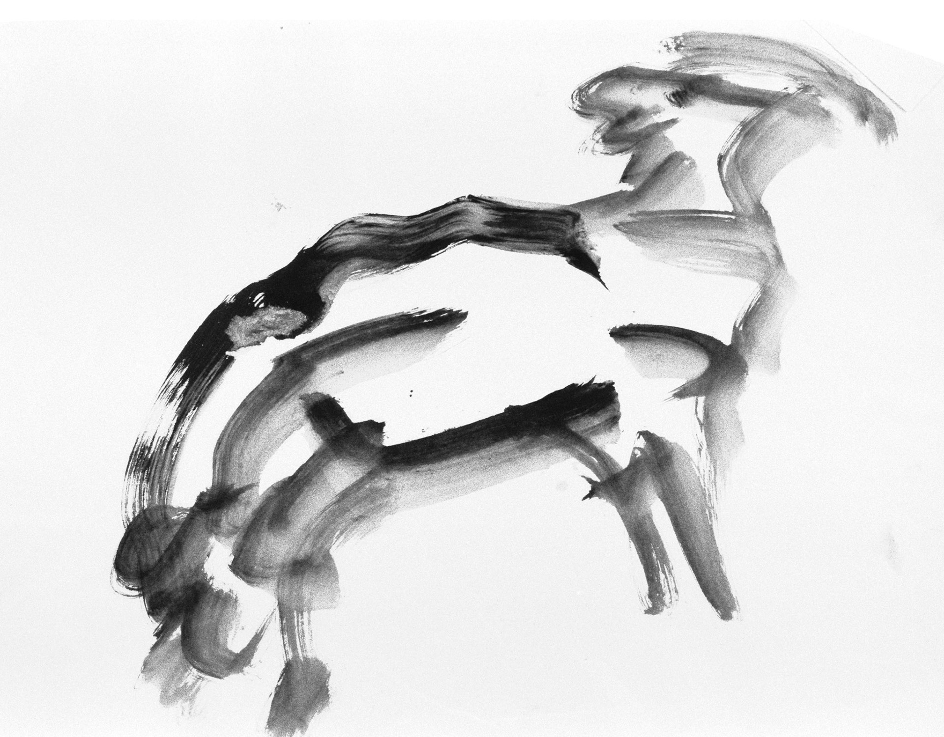 Aguada/papel._62,7x46,5cm