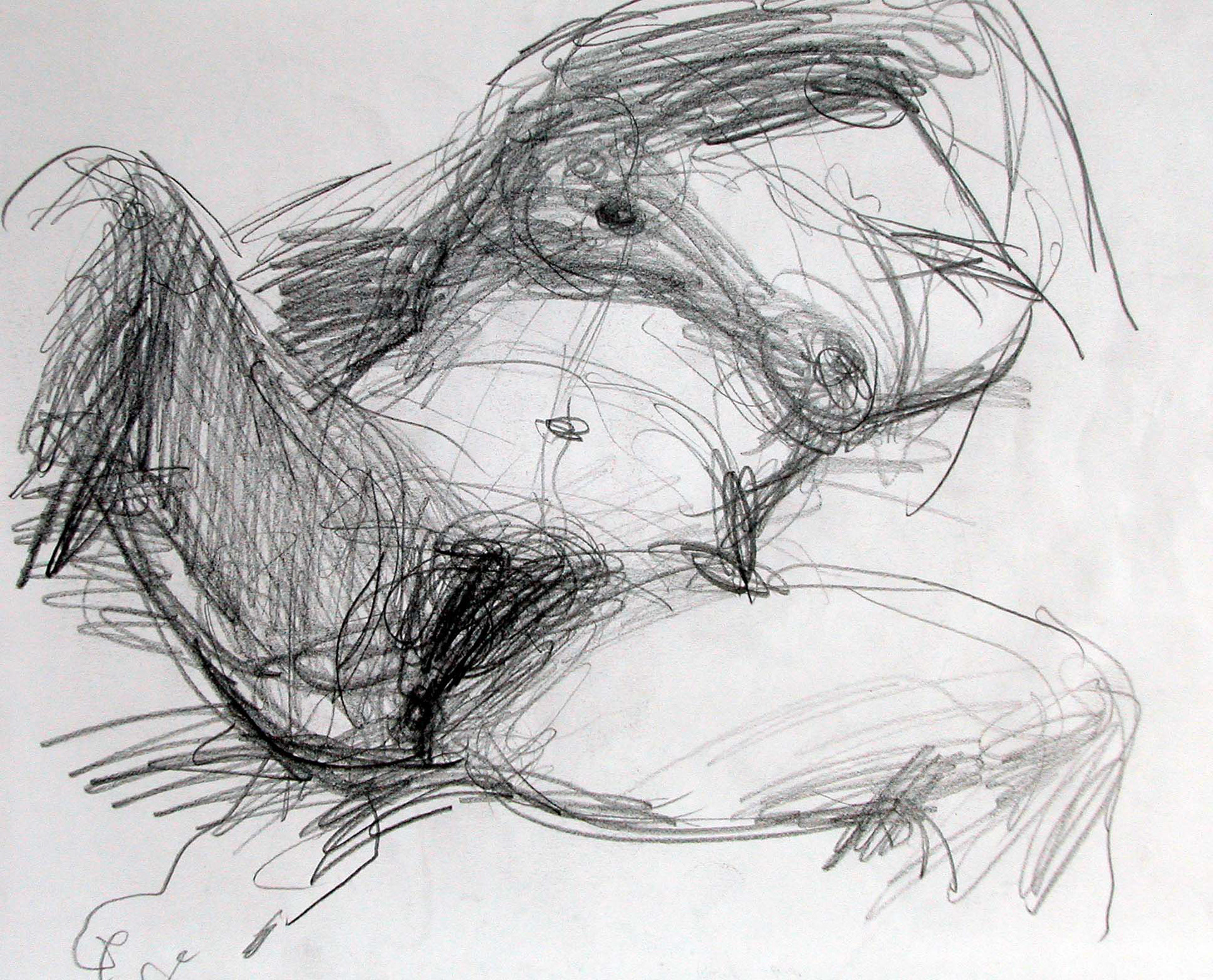 Lápiz-23,7 x 31,7cm