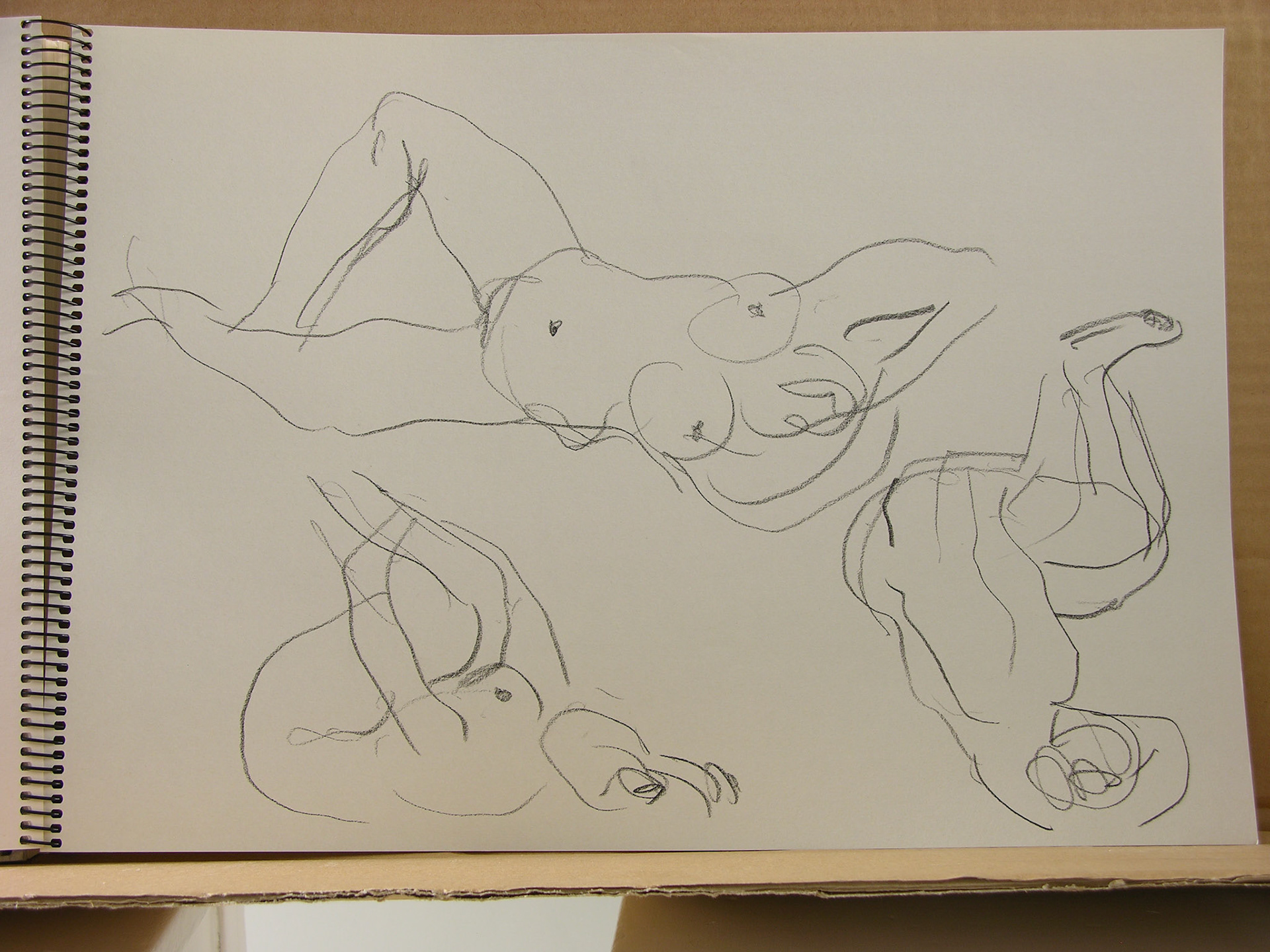 Lápiz/papel.-29,6x41cm