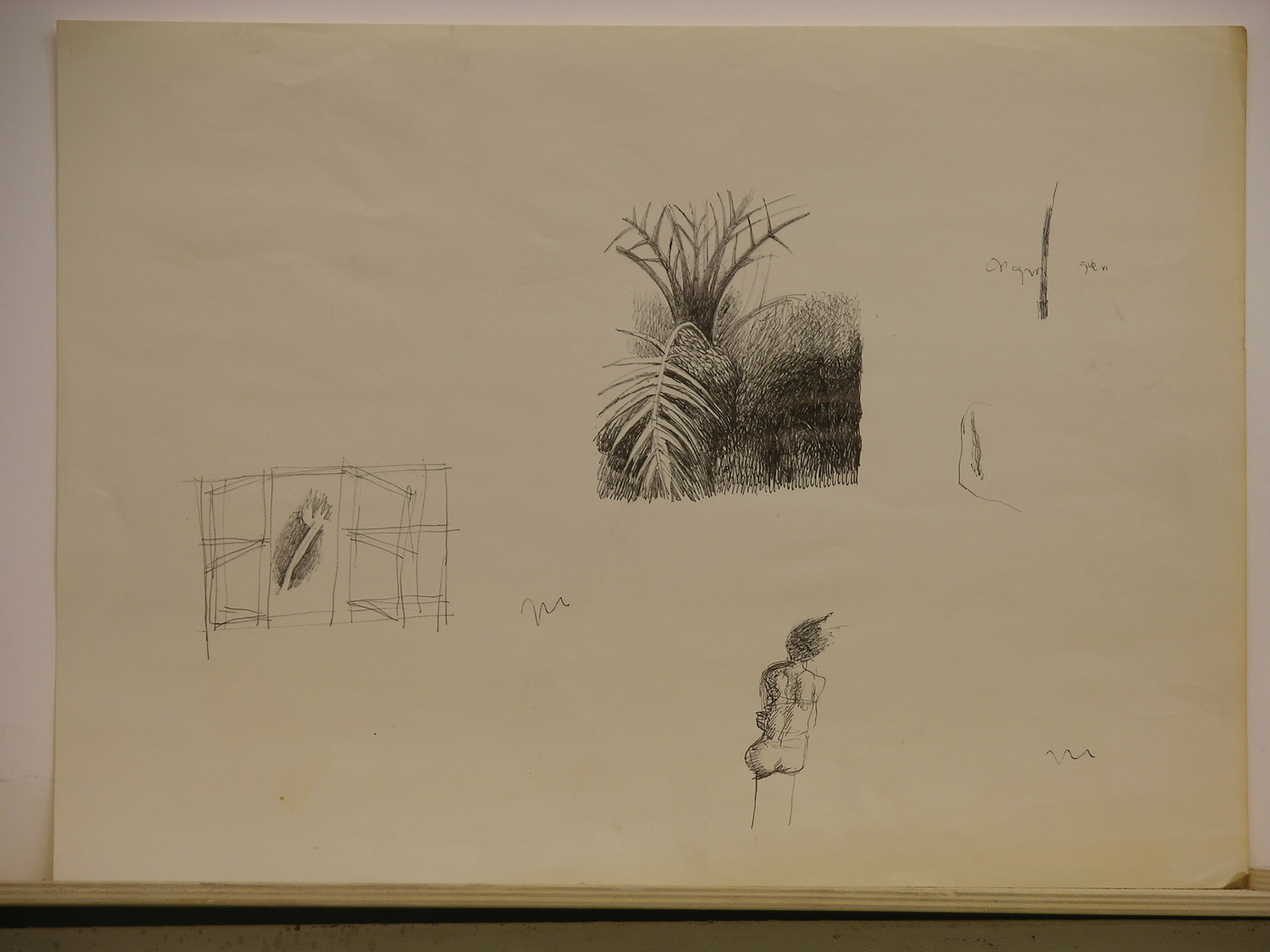 bolígrafo/papel._31,5x43,8cm