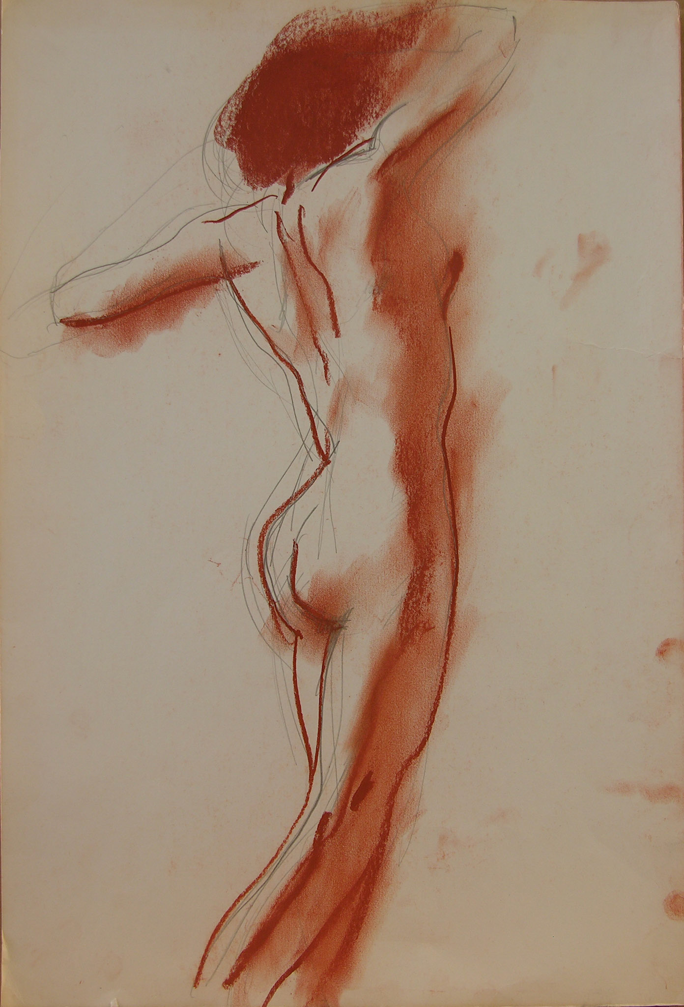 Desnudo, Sanguina/Papel49cm x 33,5cm